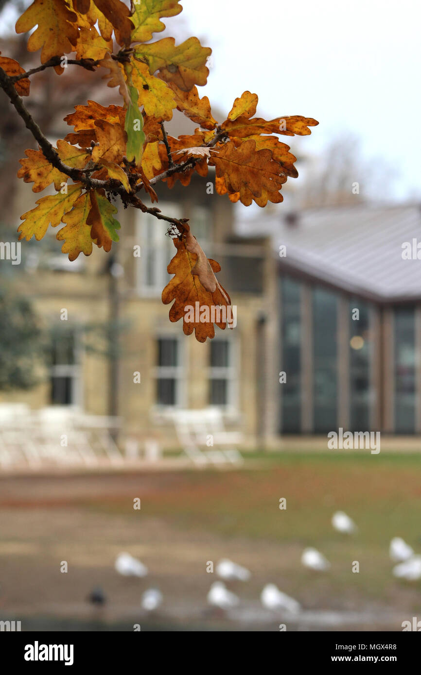 Memorial Park, Pinner Middlesex UK showing West House and Heath