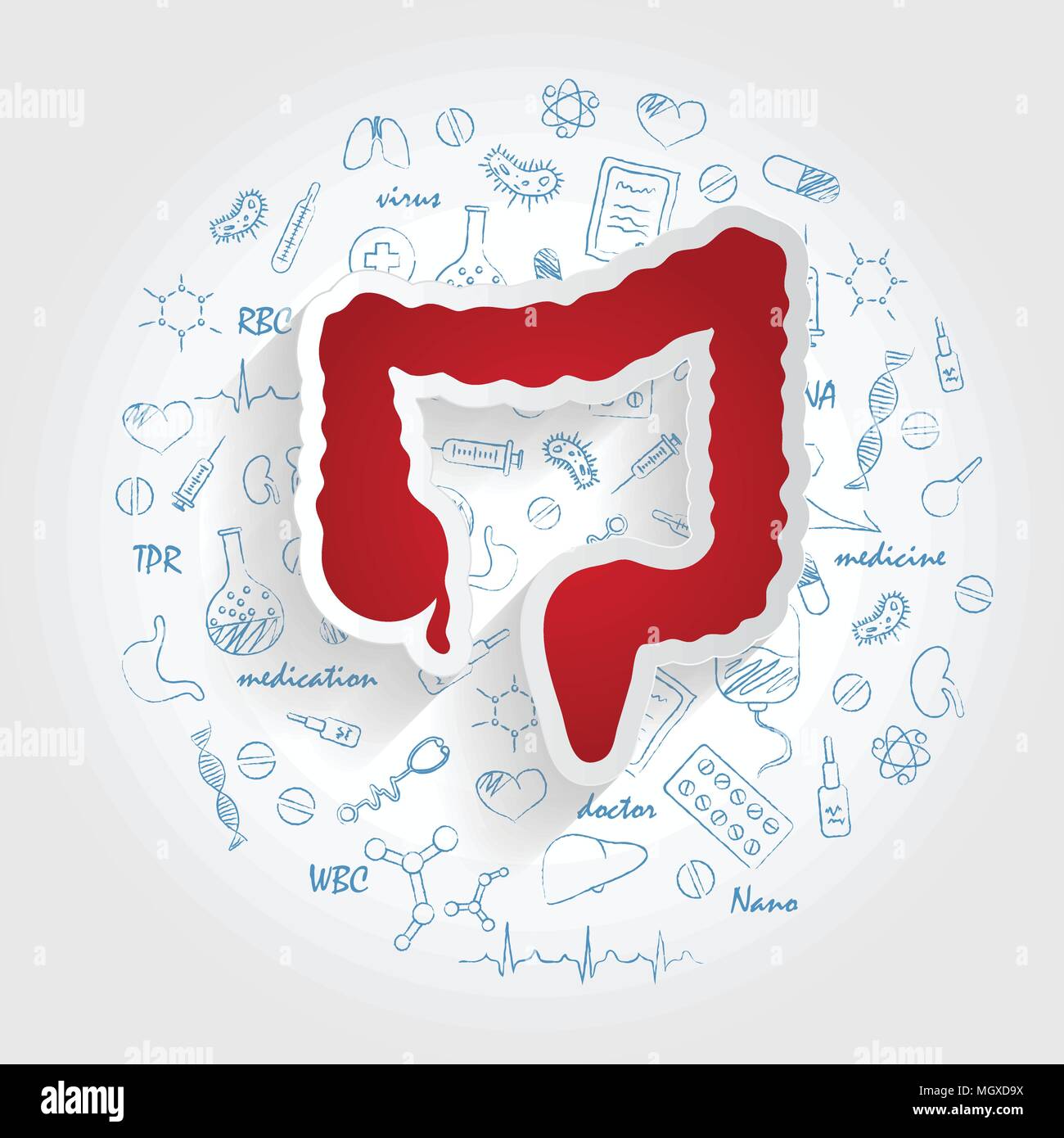 Icons For Medical Specialties. Enterology And Intestine Concept. Vector Illustration With Hand Drawn Medicine Doodle. Stock Vector