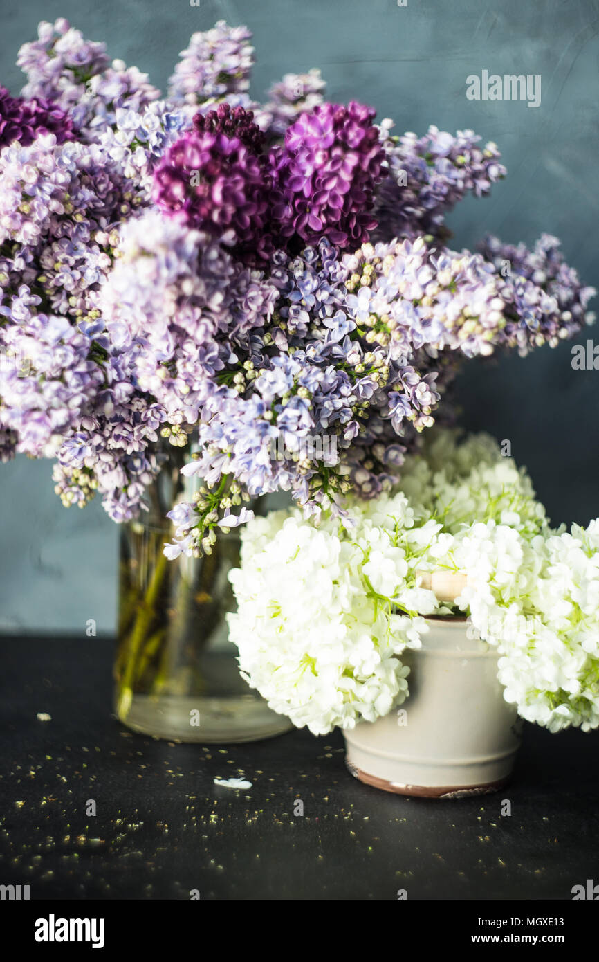 Lilac and Viburnum opulus 'Roseum' on a table with copy space Stock Photo