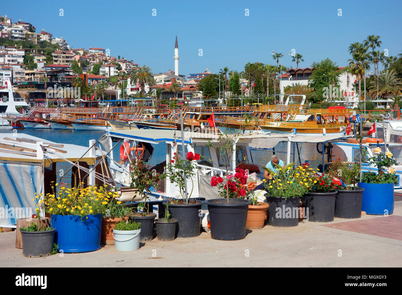 Boats in Alanya Harbour, Mediterranean, Turkey Stock Photo