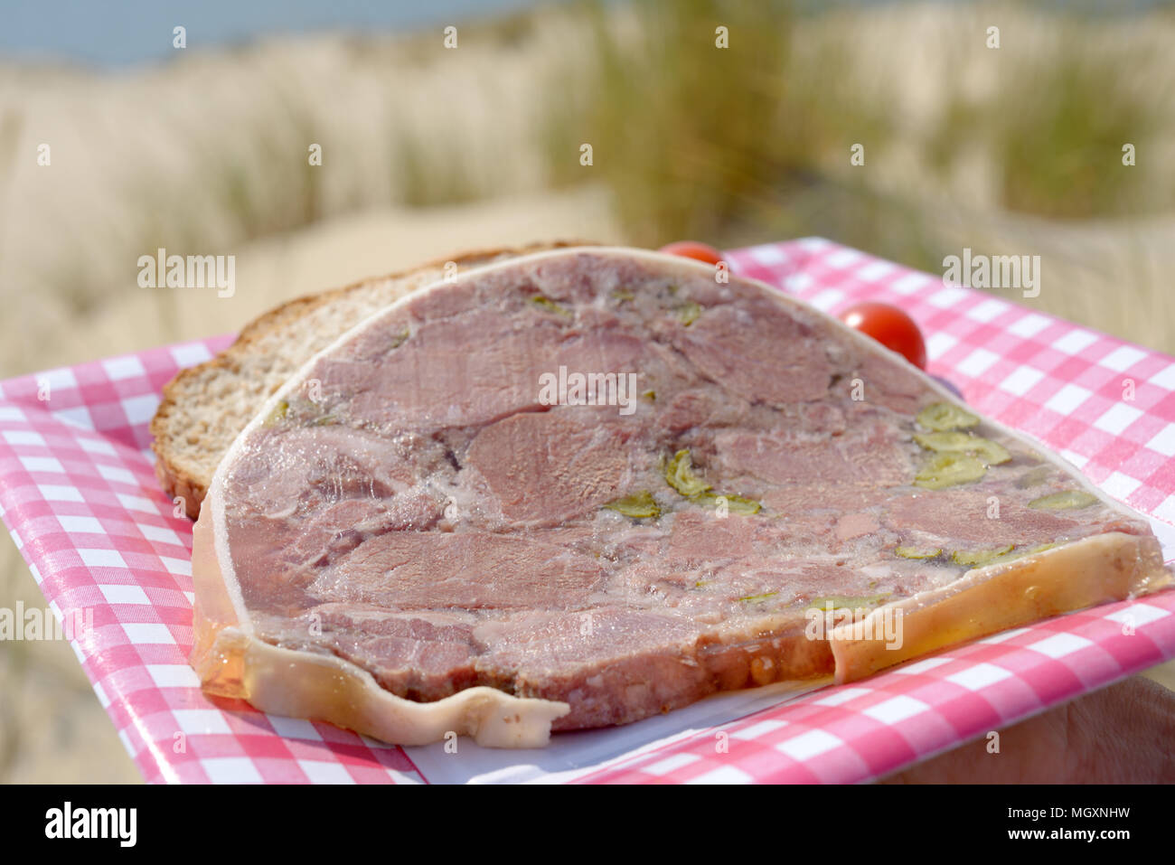 Slice of terrine on a paper plate during sea picnic Stock Photo