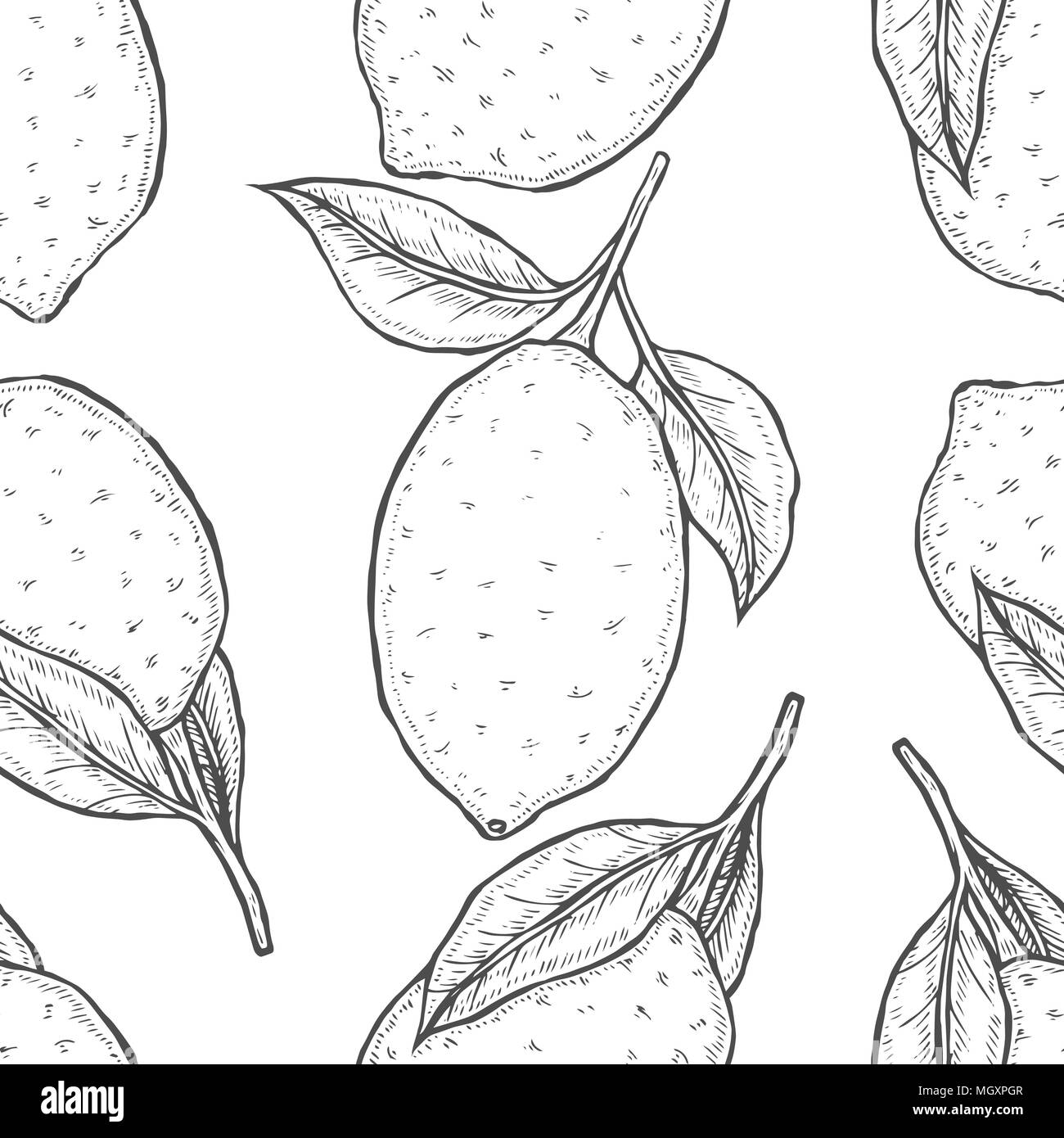 Monochrom Vector Seamless pattern background Lemon hand drawn sketch ...