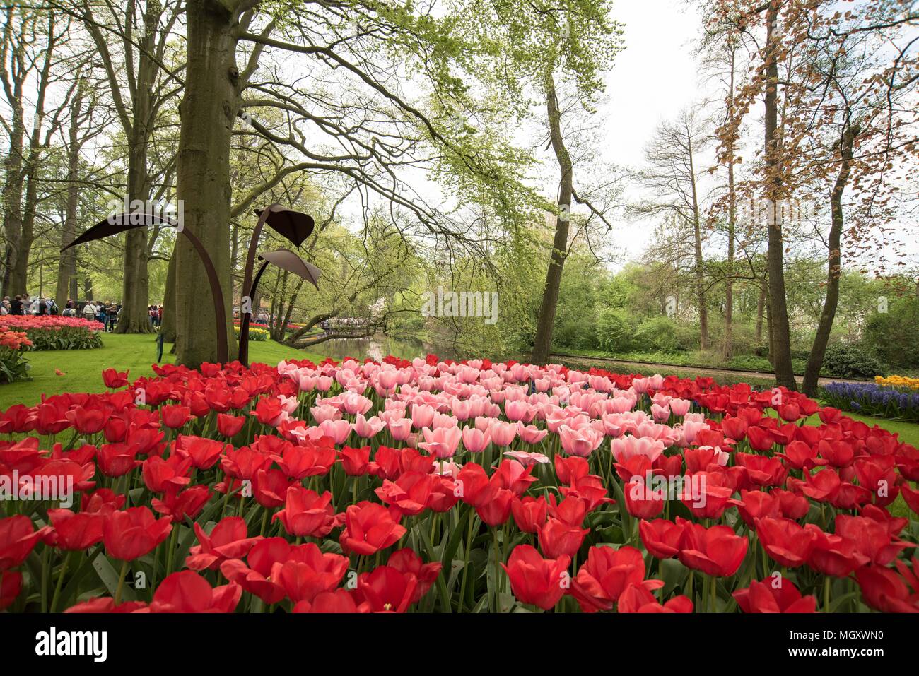 Worlds largest flowers hires stock photography and images Alamy