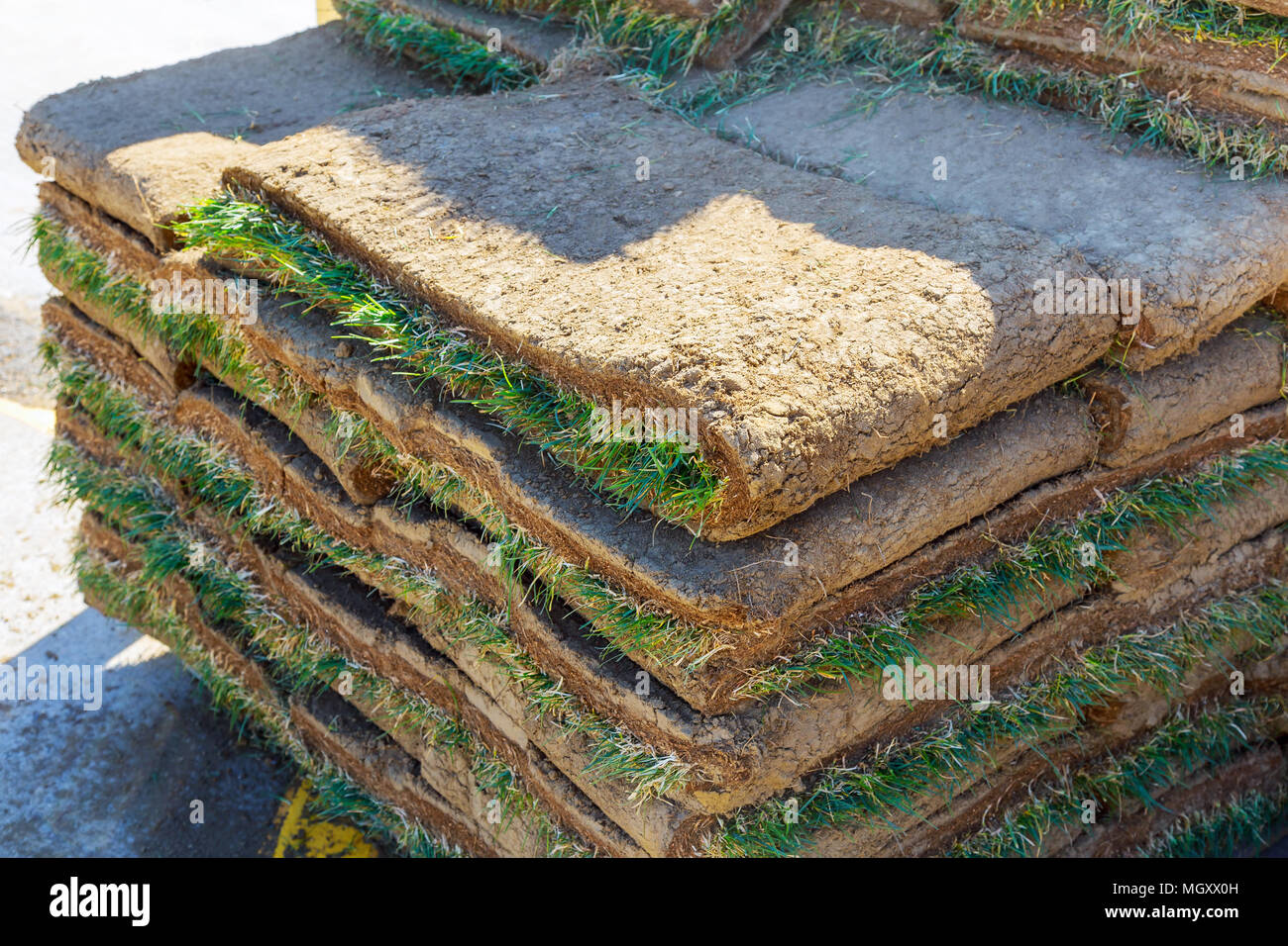 Green Grass Sod used to restore damaged grass or create new landscaped
