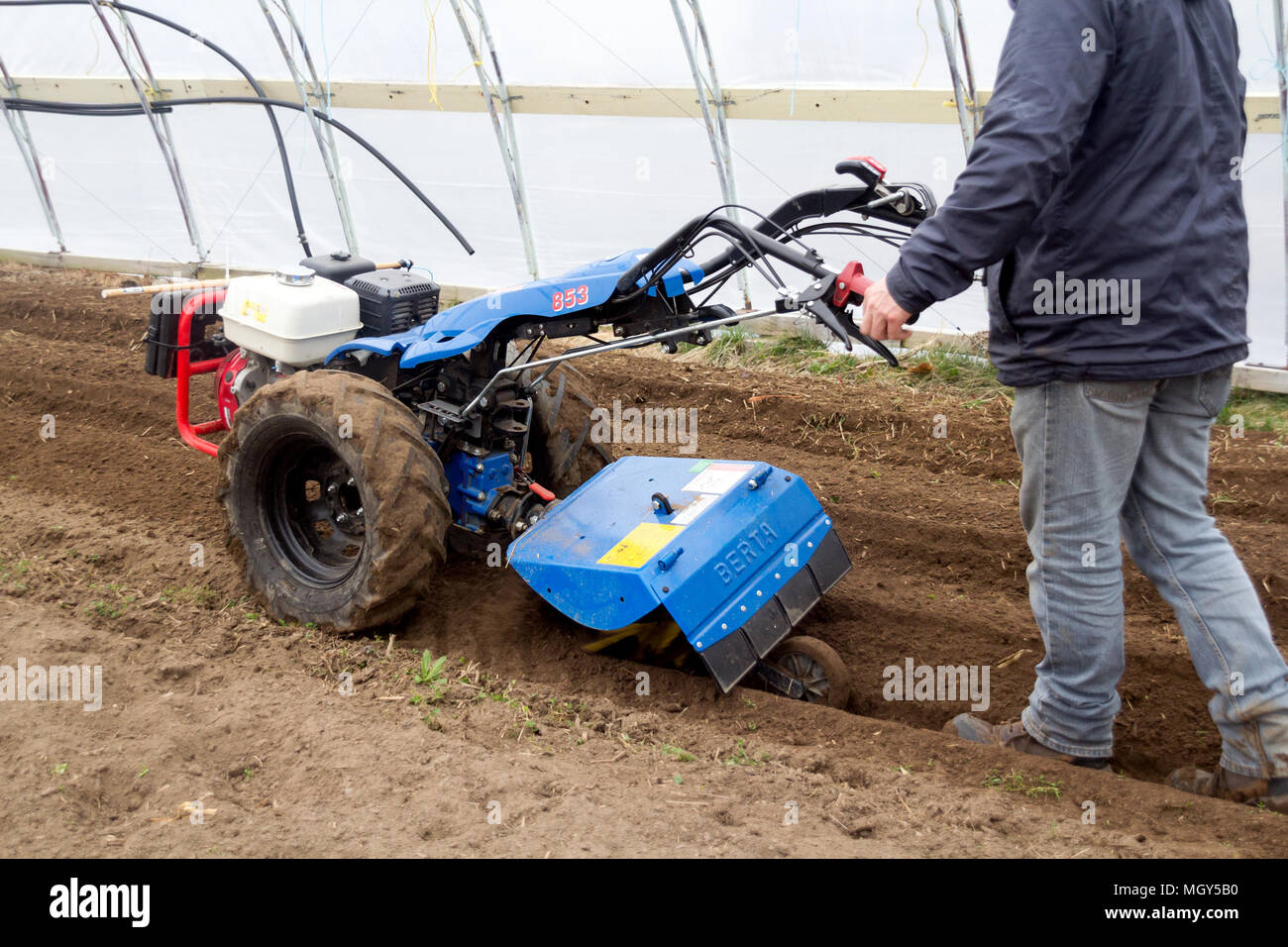 Quebec, Canada-29 April 2018 : BCS 853 13 HP is a popular tractor unit preparing soil inside green house at spring. Stock Photo