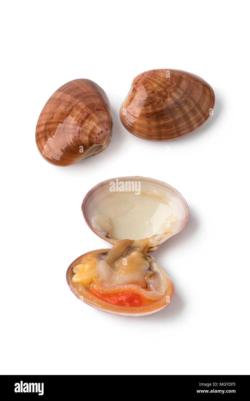 Fresh raw open smooth clam with two closed in the background on white background Stock Photo