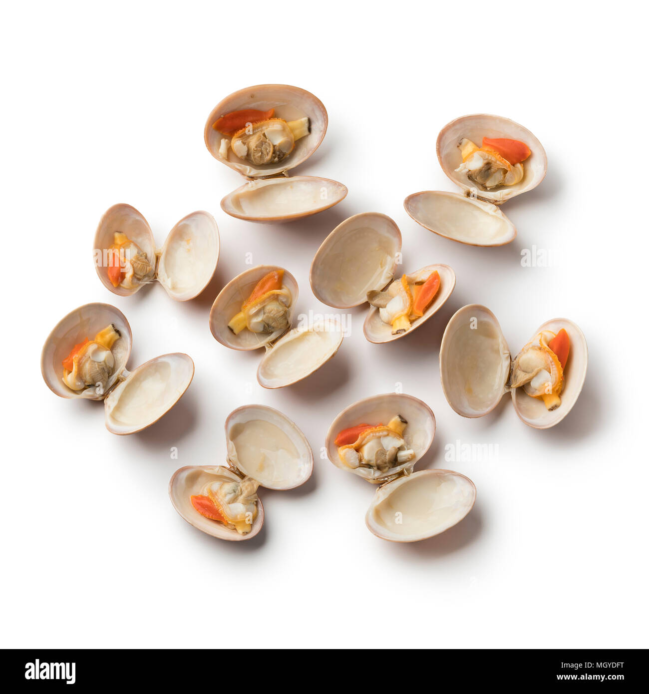 Open cooked smooth clams isolated on white background Stock Photo