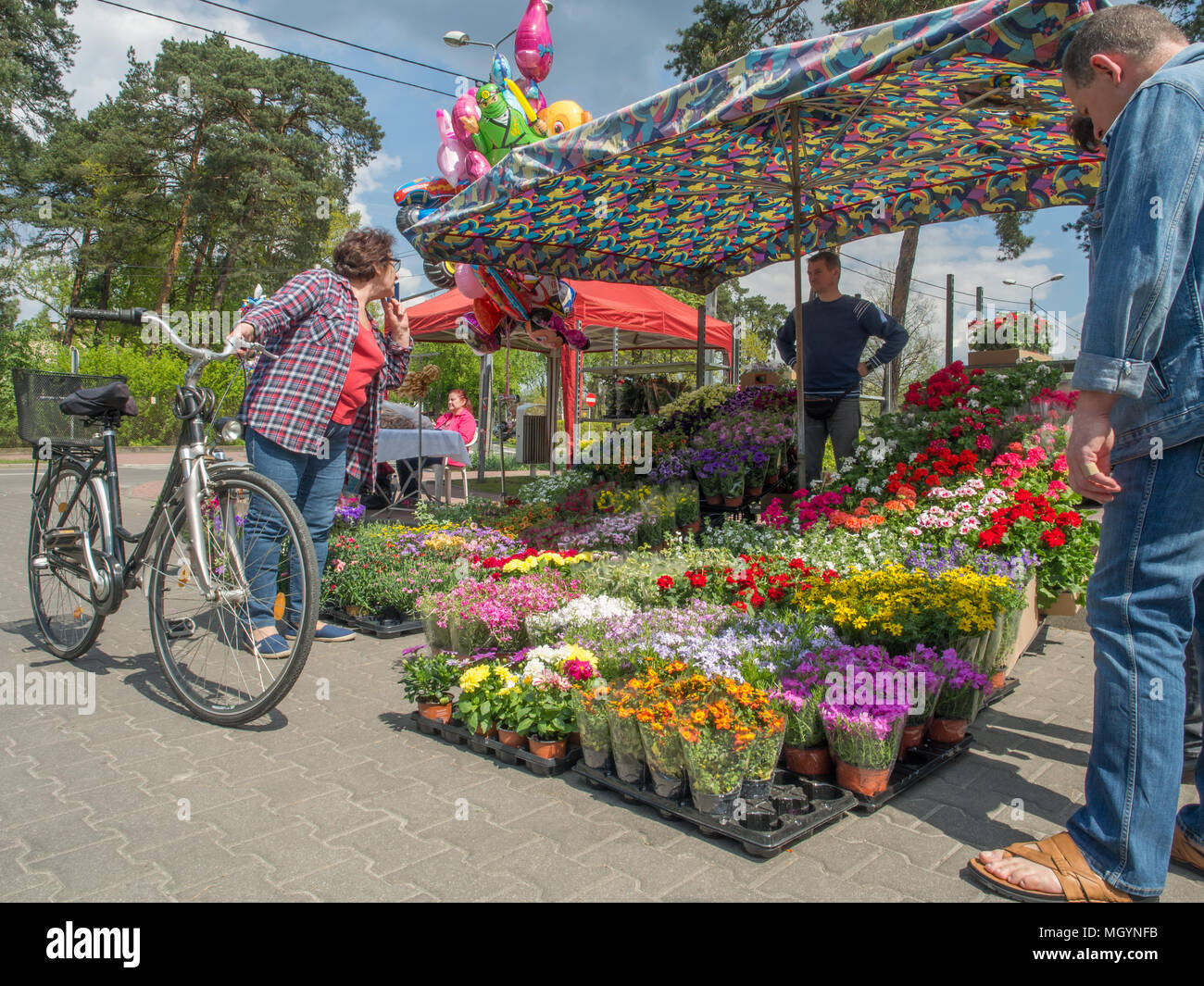 Jozefow, Poland - May 14, 2017: Spring flowers market with plenty of different, colorful plants Stock Photo