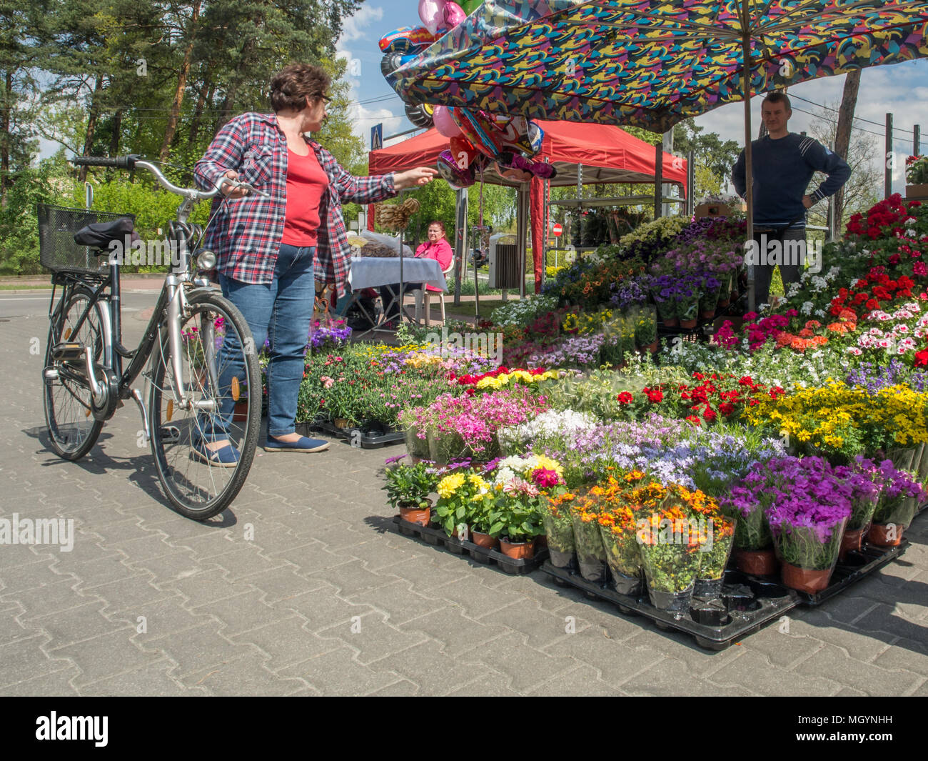 Jozefow, Poland - May 14, 2017: Spring flowers market with plenty of different, colorful plants Stock Photo