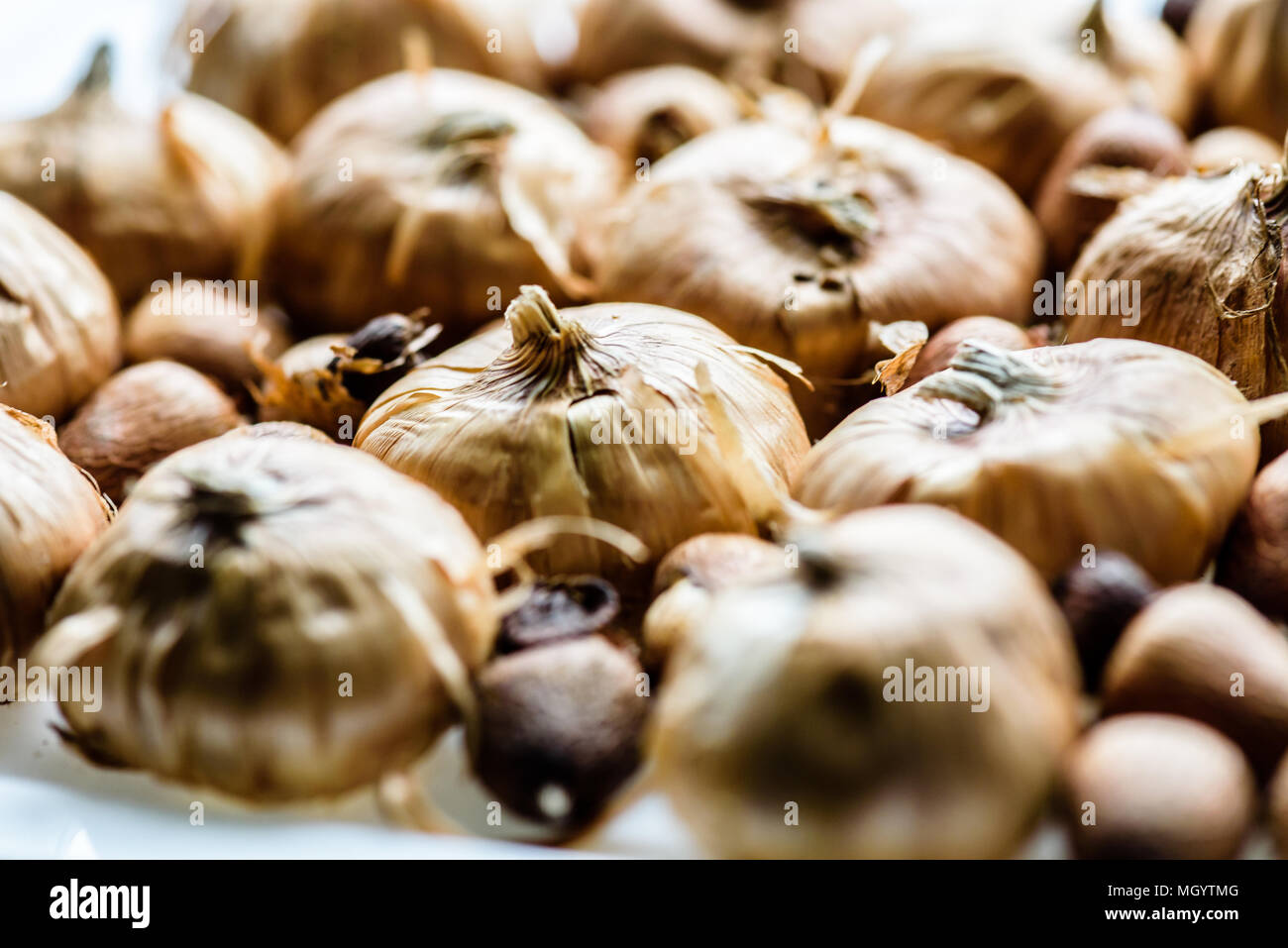 Planting bulbs family hires stock photography and images Alamy