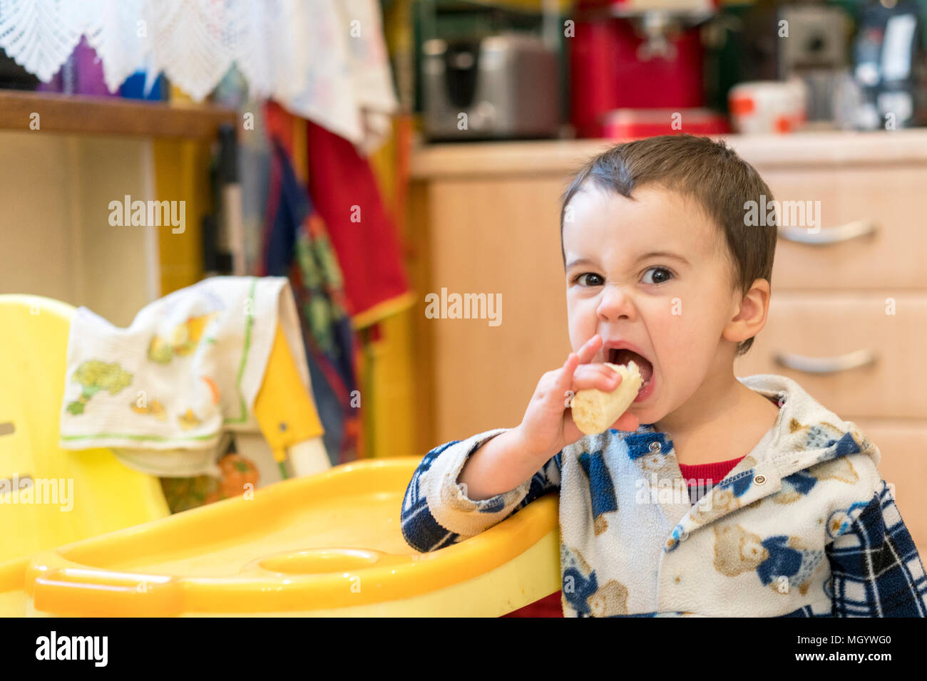 Baby, child chair, banana eats Child, 0-6 months, toddler, sits,  Lächtzchen, drools, bowl, hunger, fruit, meal, nutrition, kitchen, kitchen  table, health, temper, helplessly, vigorously, development, independence  Stock Photo - Alamy