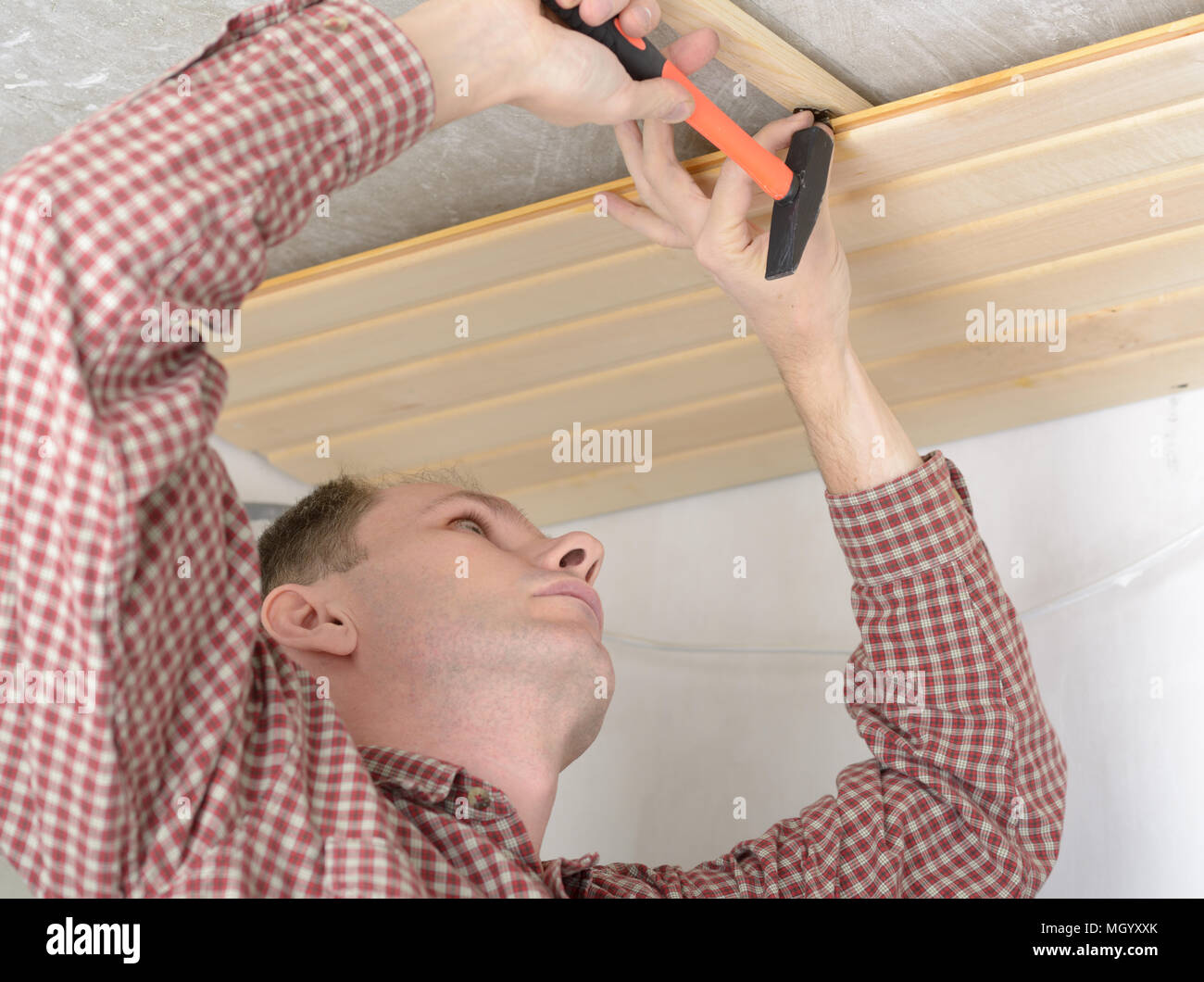 Contractor Installing Wood Panels On A Ceiling Stock Photo
