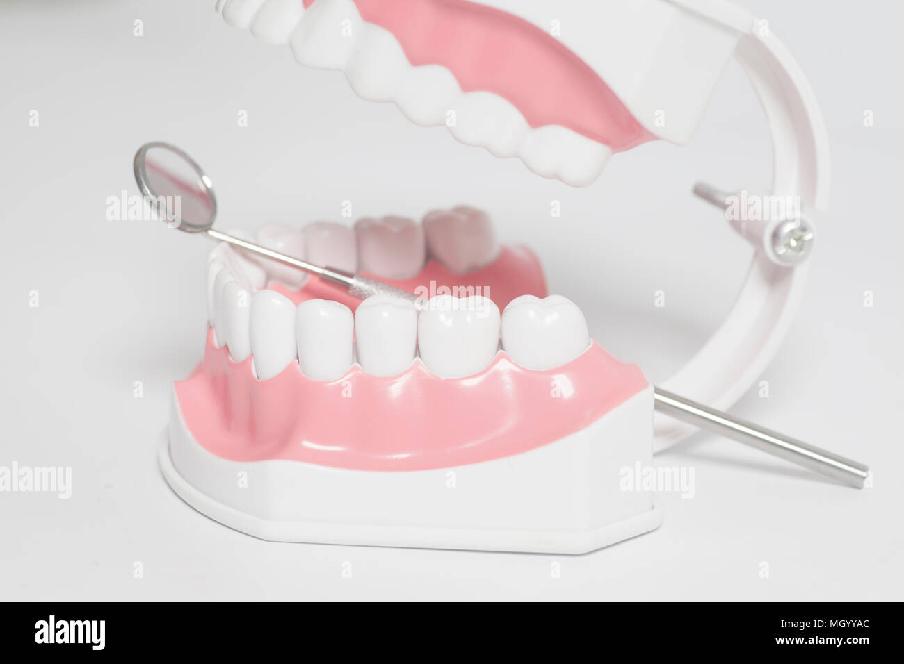 White human teeth model and dental mirror instrument on white ...