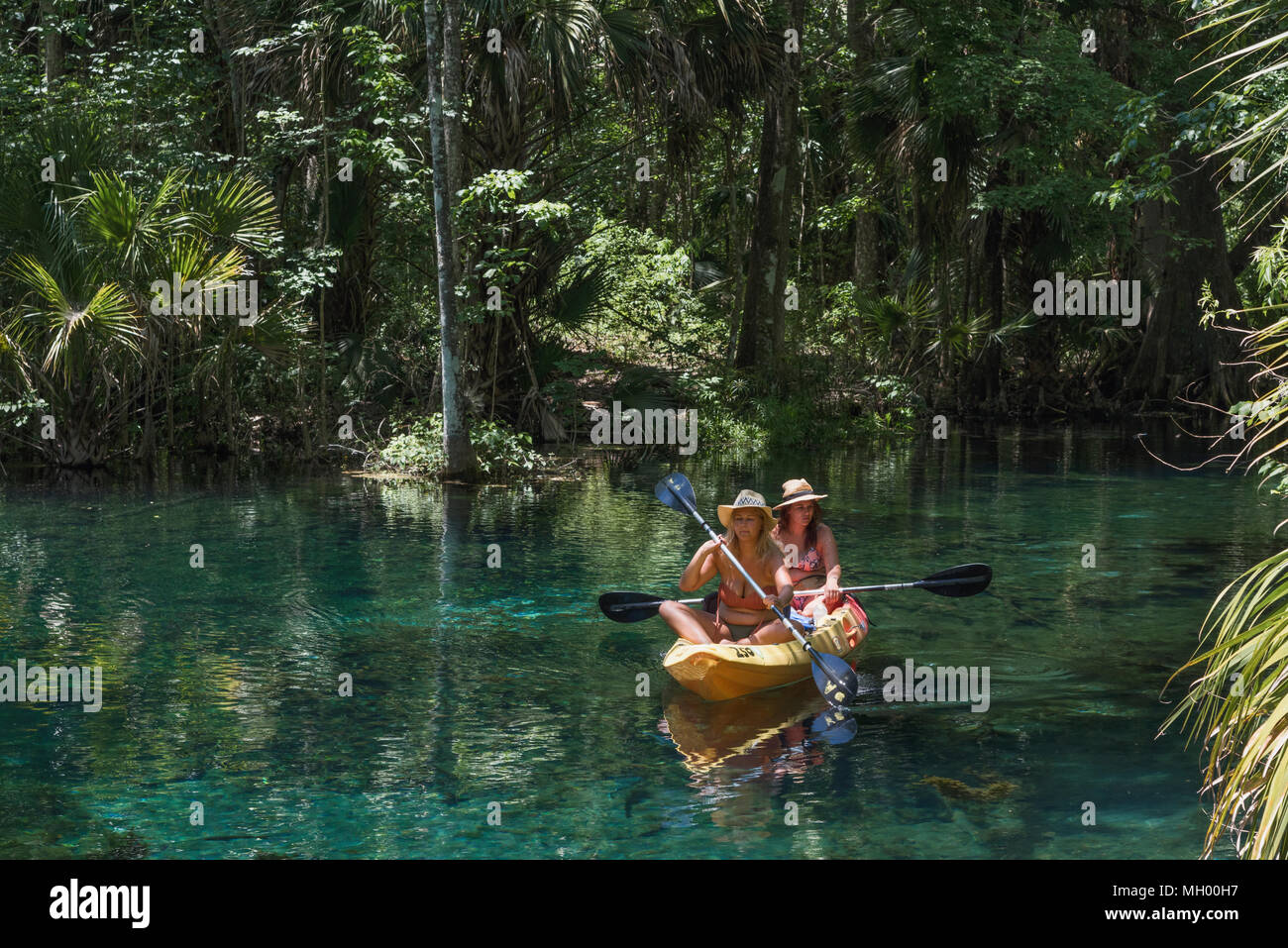 Kayaking the Silver Springs River in Ocala, Florida USA Stock Photo - Alamy