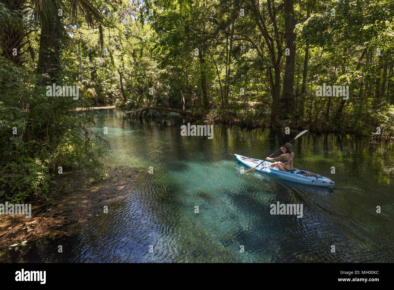 Kayaking the Silver Springs River in Ocala, Florida USA Stock Photo Alamy