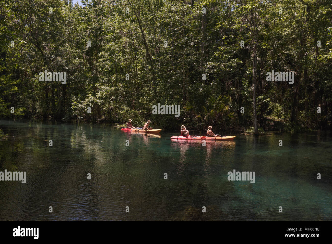 Kayaking the Silver Springs River in Ocala, Florida USA Stock Photo Alamy