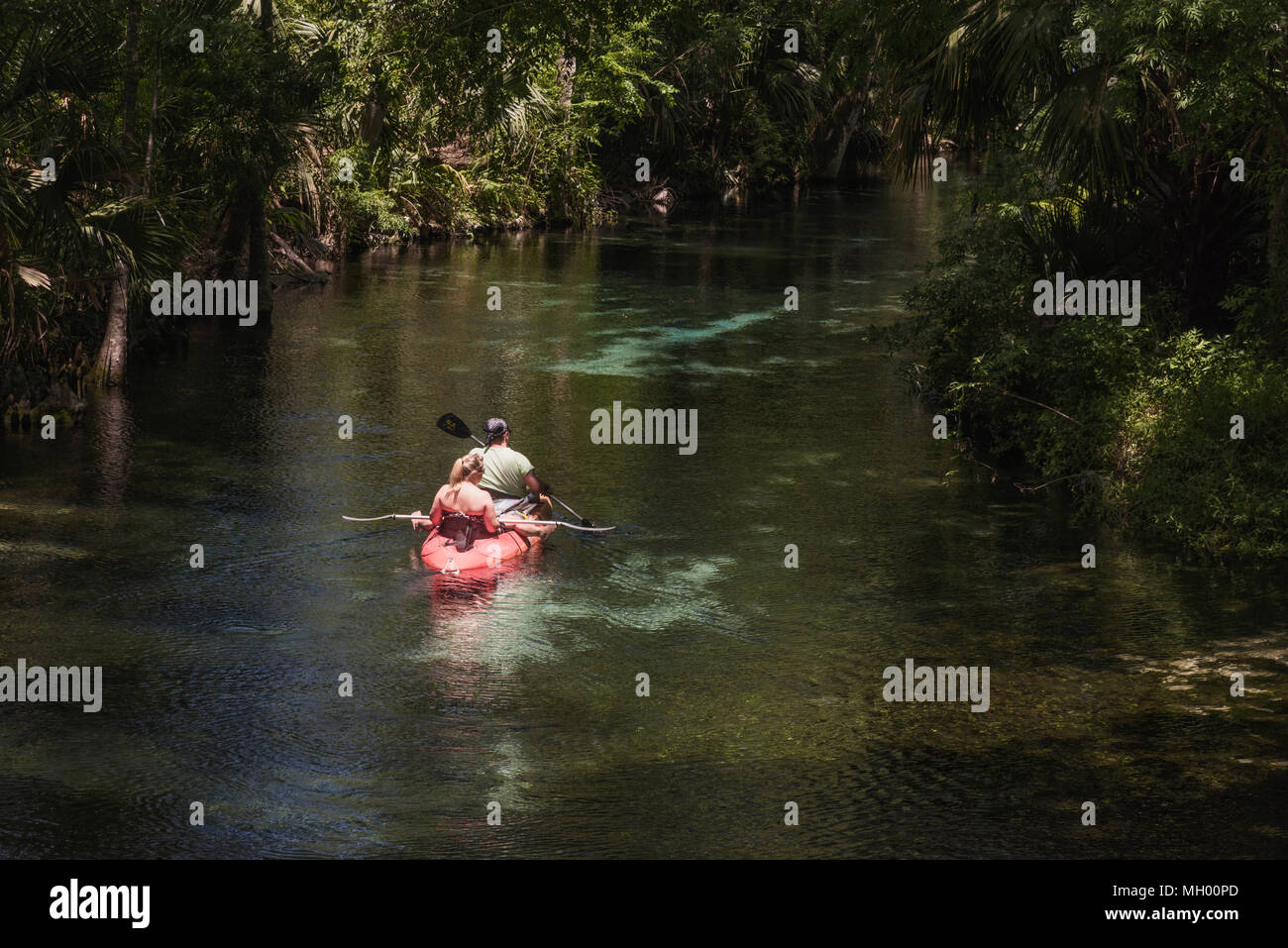 Kayaking the Silver Springs River in Ocala, Florida USA Stock Photo Alamy