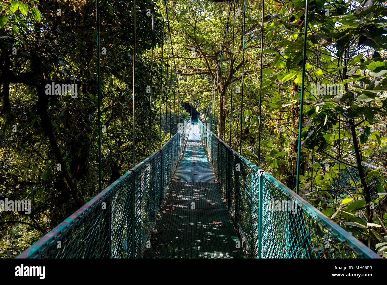 Hanging Bridges in Cloudforest - Costa Rica Stock Photo
