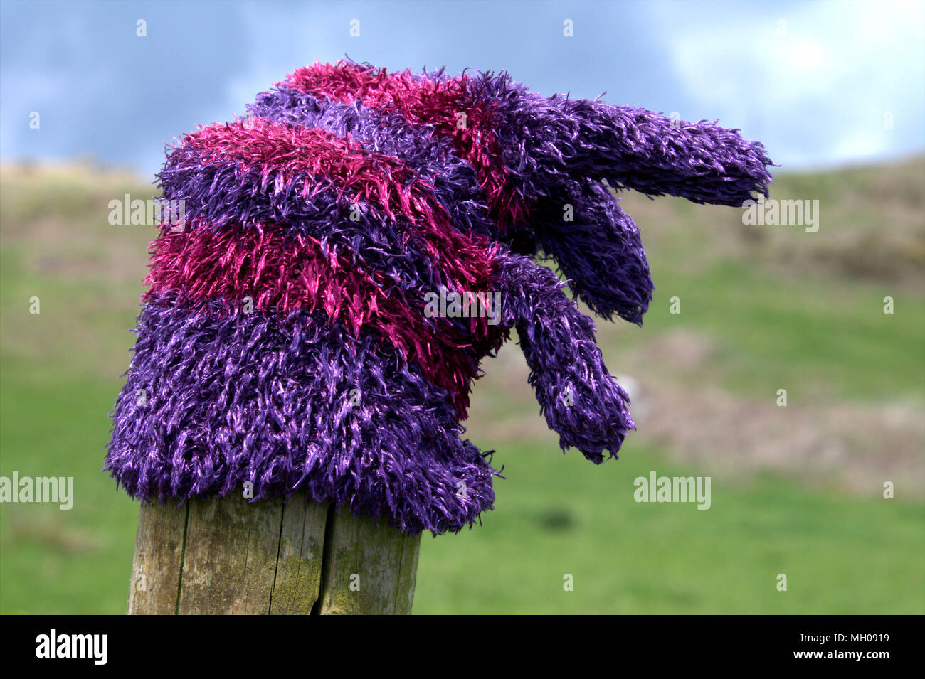 lost purple and pink striped woollen glove pulled over the top of a farm fence post. Stock Photo