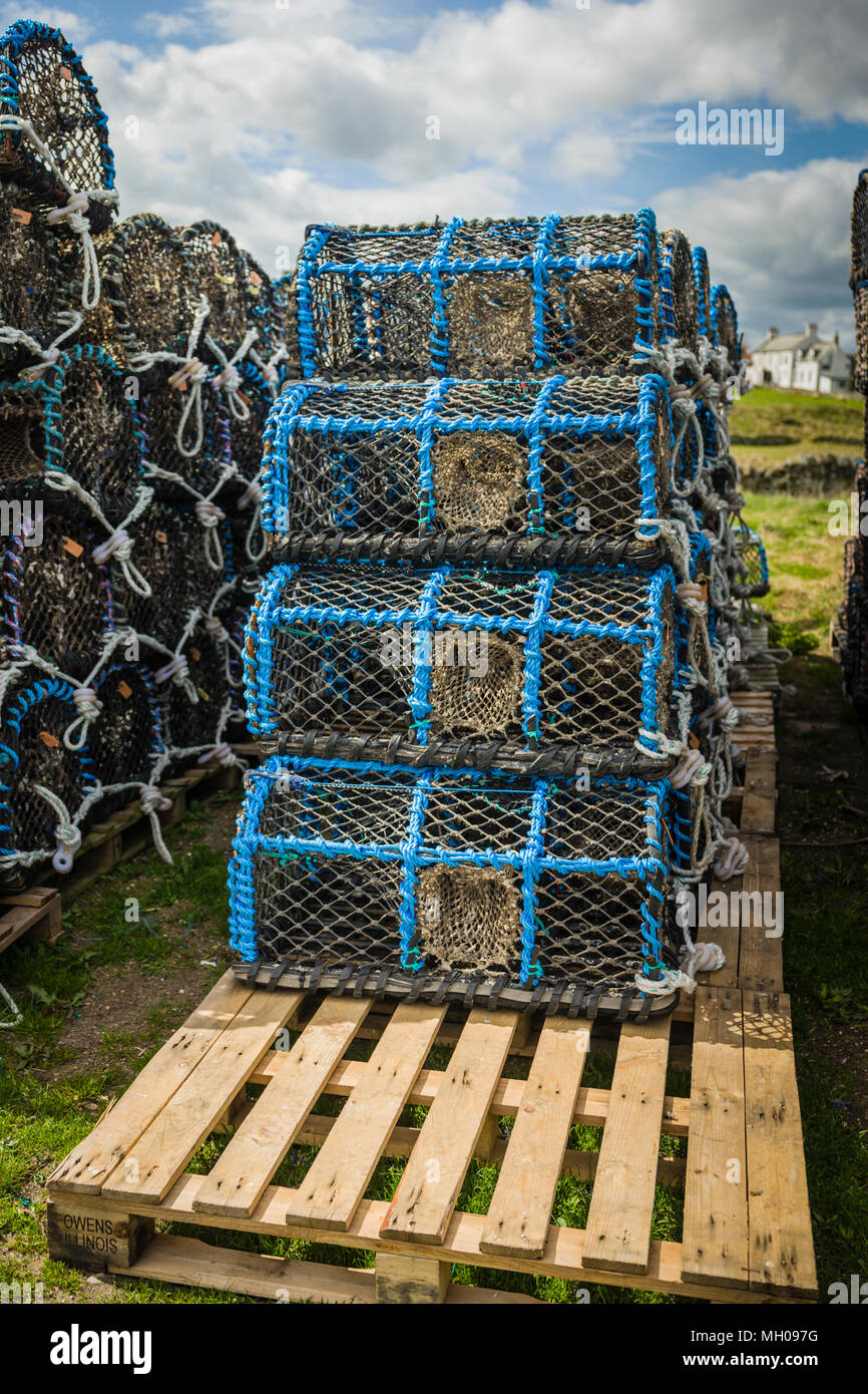 Lobster pots, Holy Island, Northumberland, UK Stock Photo Alamy
