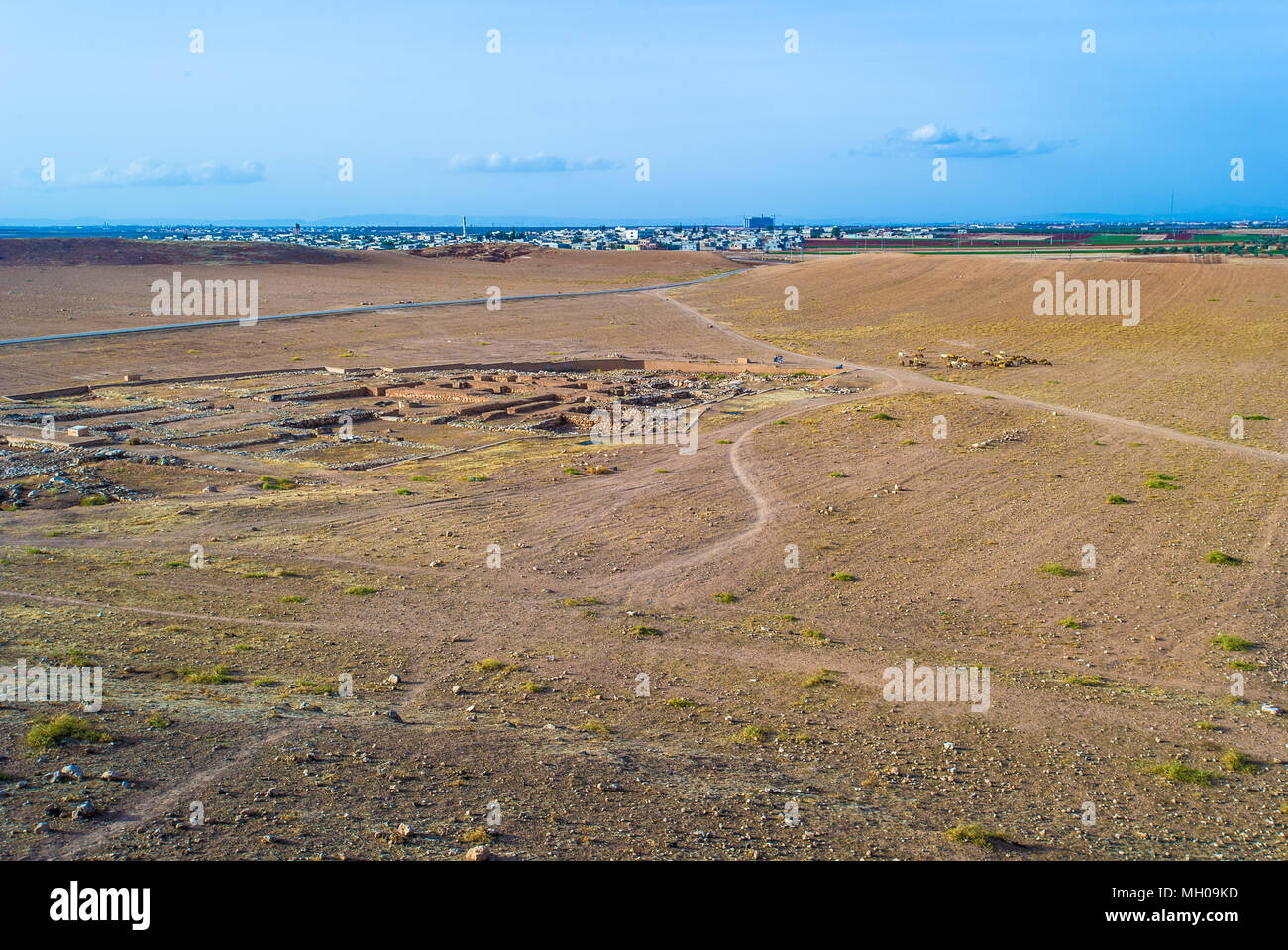 Desert of Syria, near old city Ebla Stock Photo