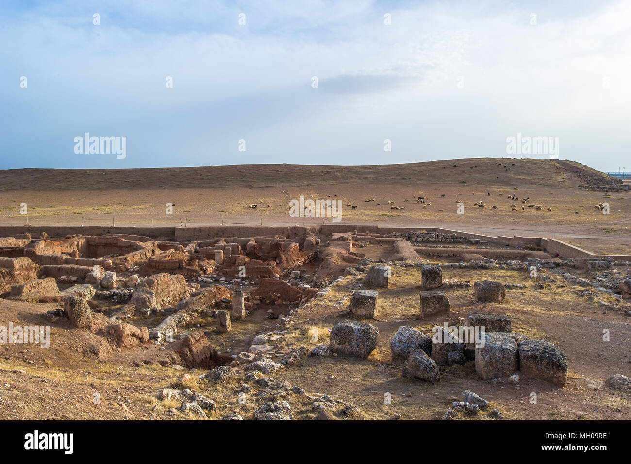 Ebla archive hi-res stock photography and images - Alamy