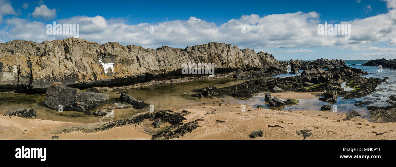 The white stag at Stag Rocks, Bamburgh Beach, Northumberland, UK Stock ...