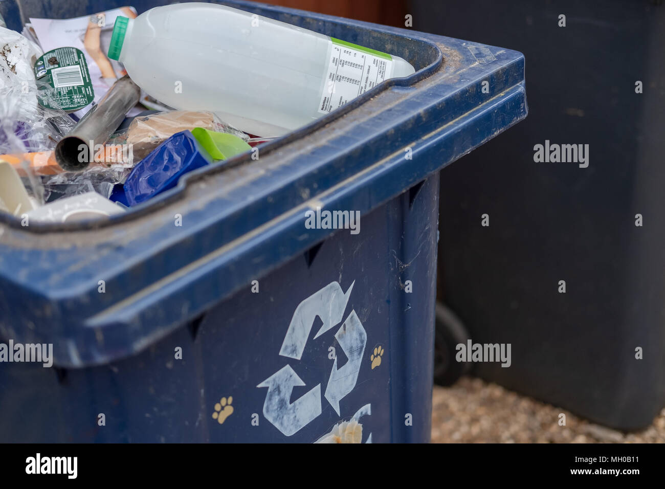 Closeup image on an opened blue plastic recycle bin used for household recyclable materials