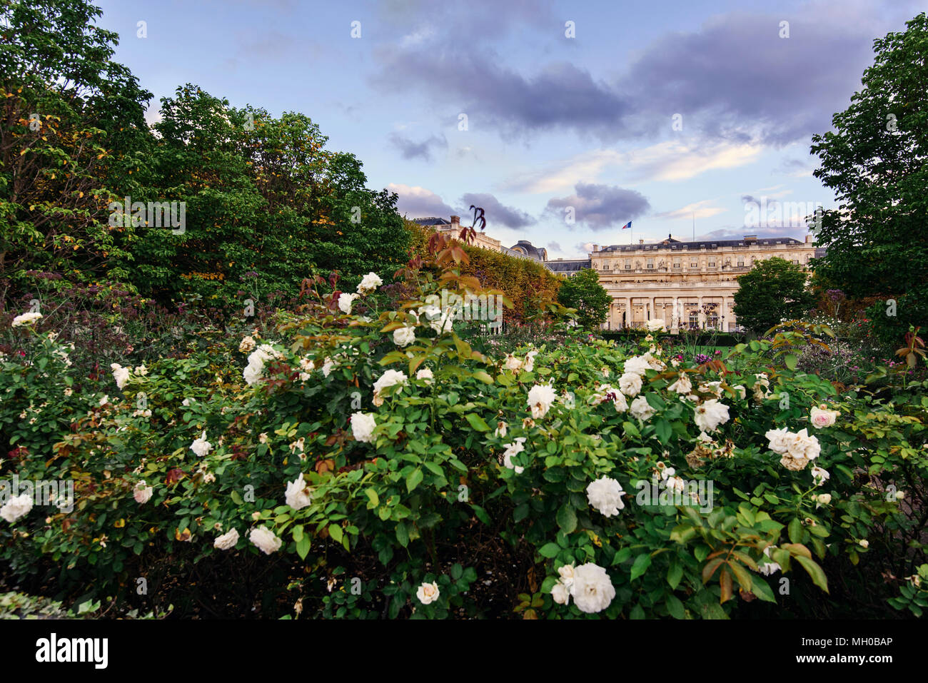 Royal Palace with Blooming Garden in Paris Stock Photo