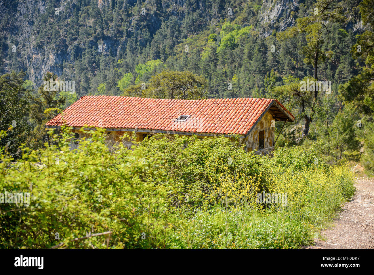 Nature of the Taurus mountains in Turkey Stock Photo - Alamy