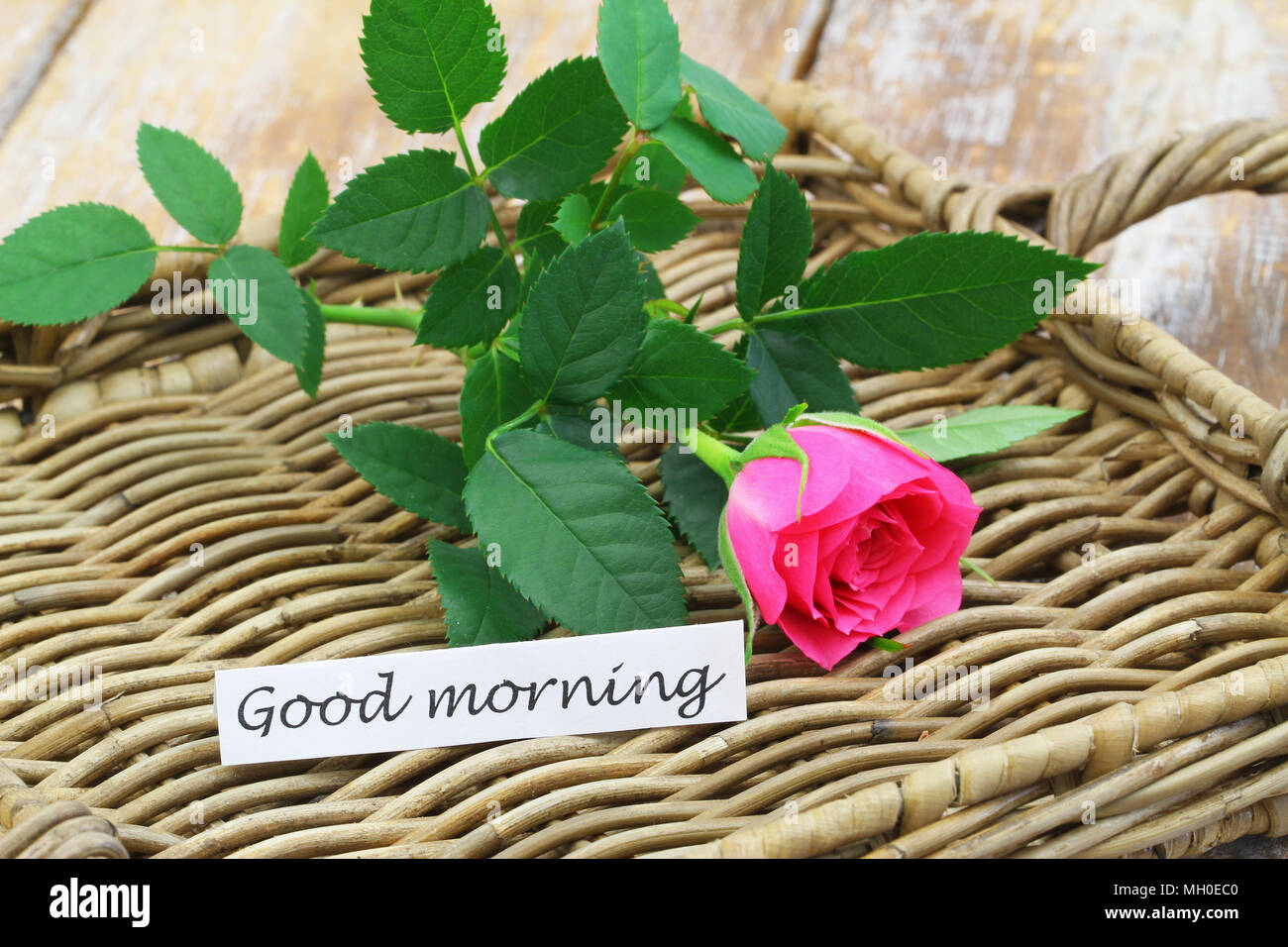 Rose With Good Morning Note Stock Photos Rose With Good Morning