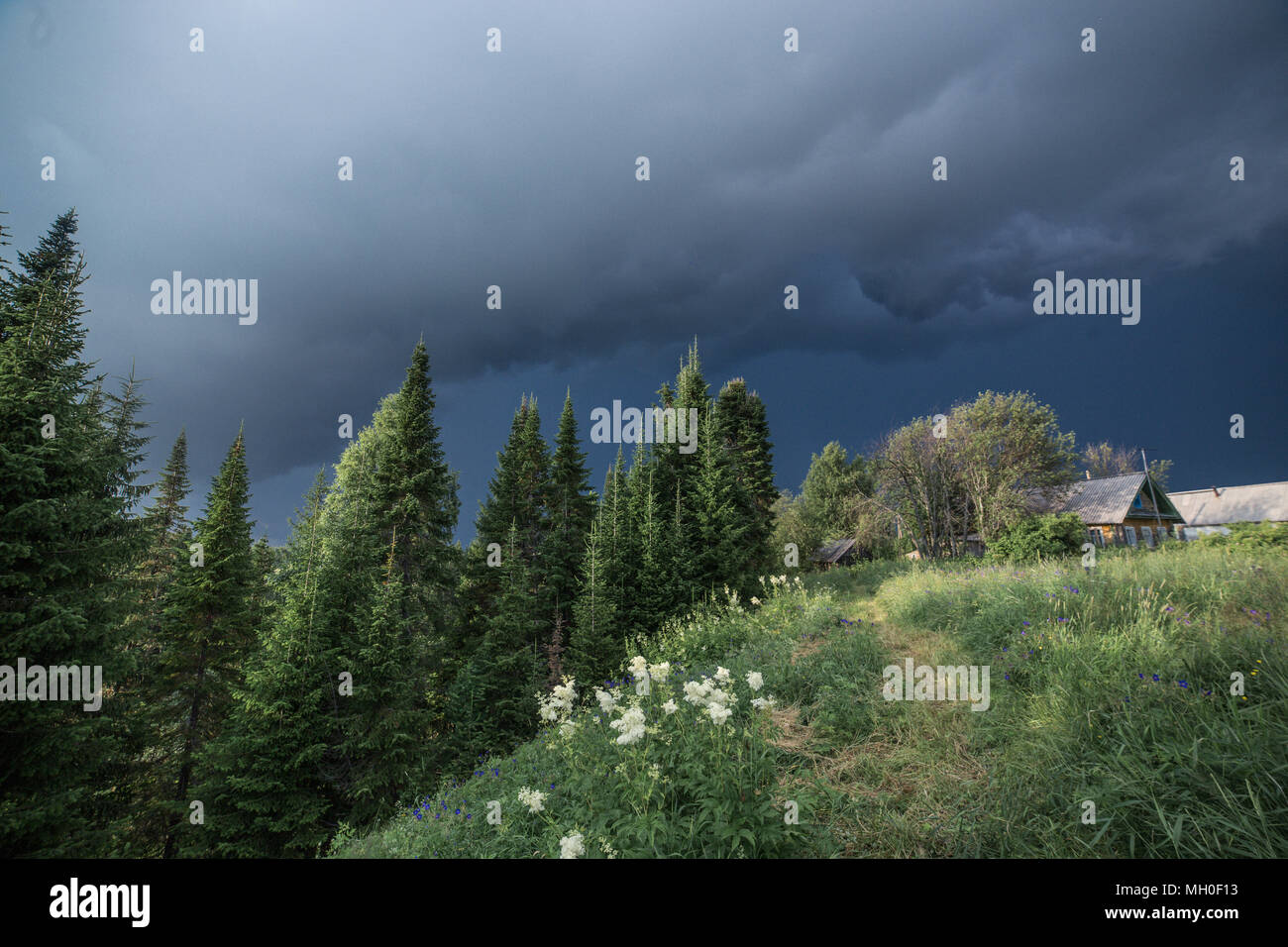 Atmospheric village landscape with pine forest, green meadow, cozy old houses and dark blue rain clouds before heavy rain. Stock Photo