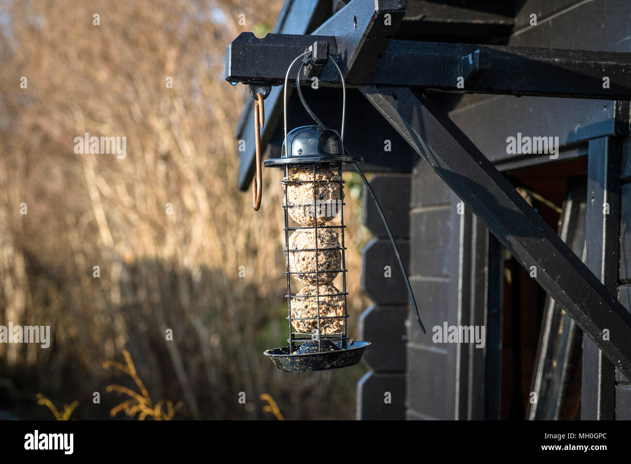 Bird Feeder Cage On A Wooden Shed In A Garden With Grain Stock