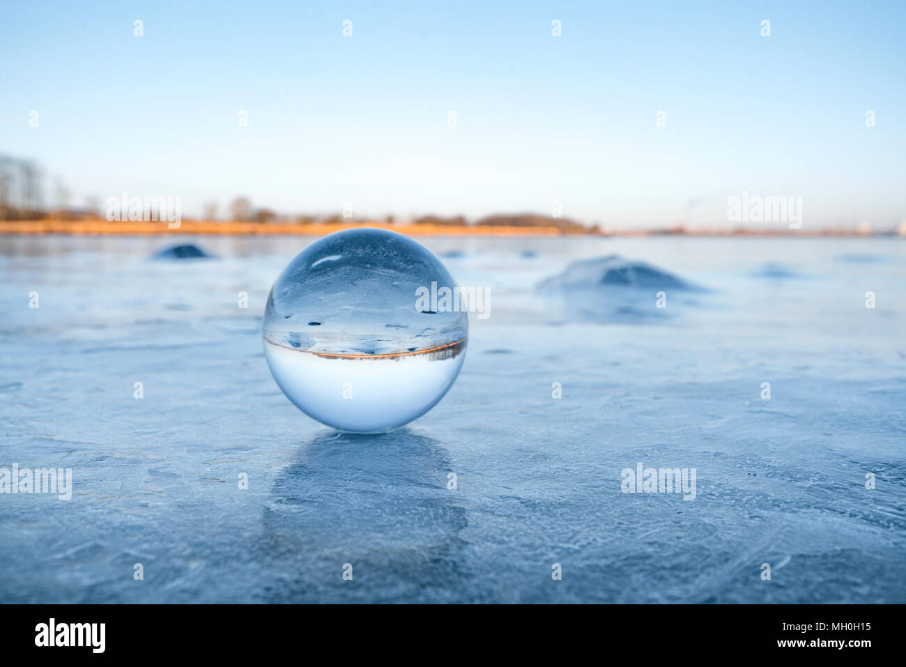 Zen frozen ice snow tree hi-res stock photography and images - Alamy
