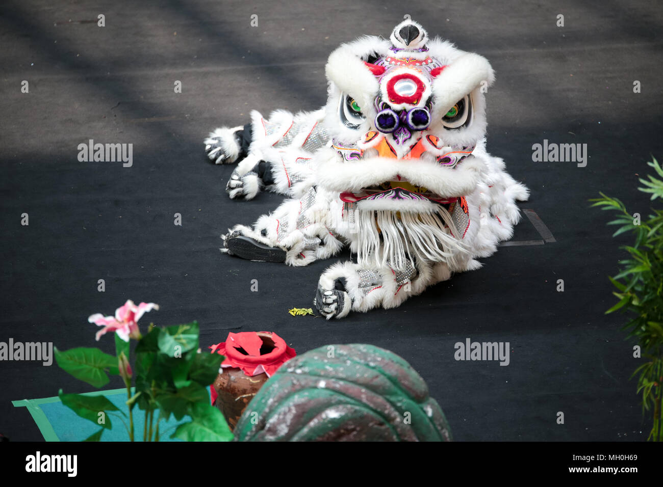 White color lion dance performing its stunts at VIVA HOME shopping mall in Kuala Lumpur, Malaysia. Stock Photo