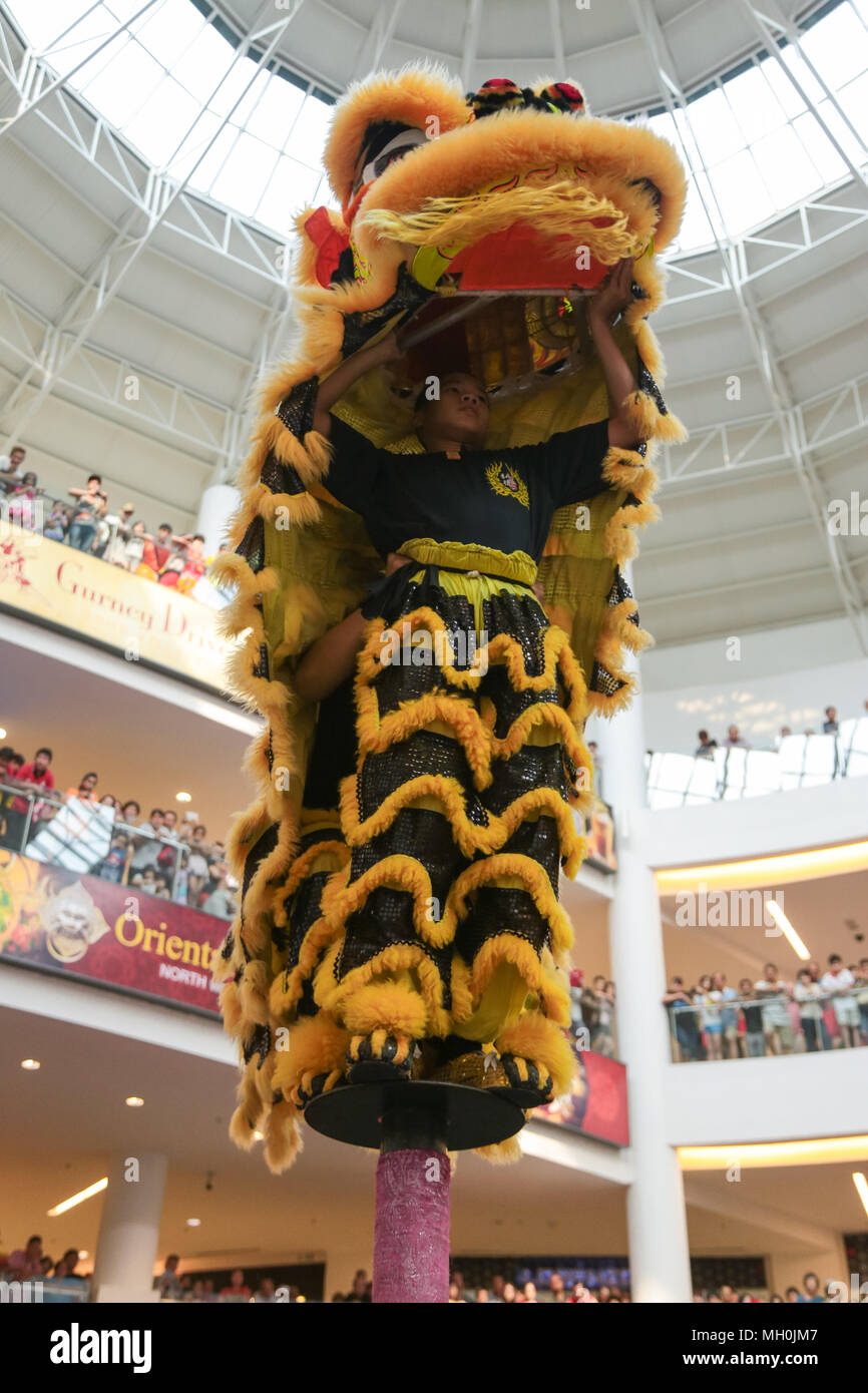 Lion dance performance on high pole at VIVA HOME shopping mall in Kuala