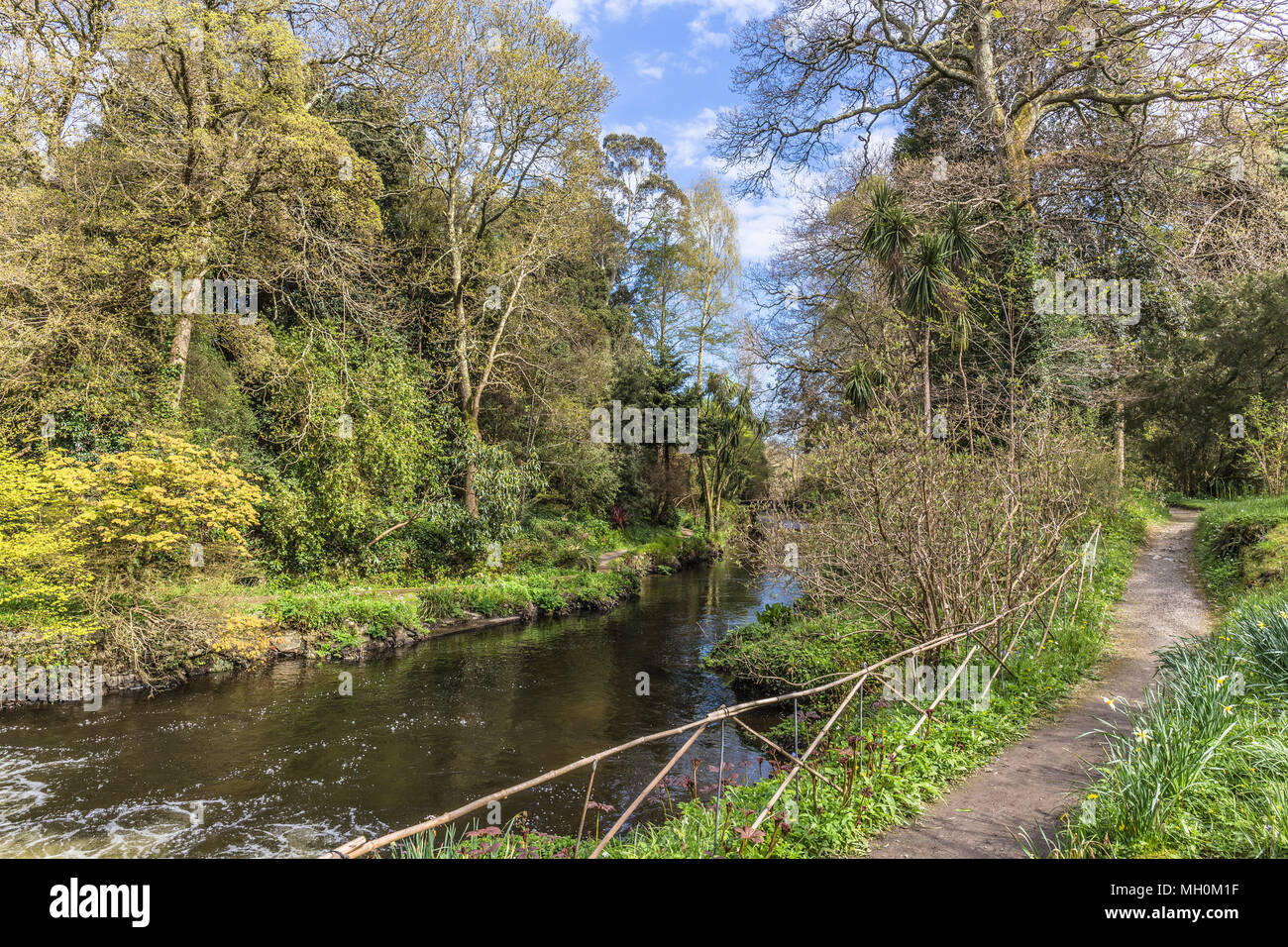 Mount Usher Gardens Ashford Wicklow Stock Photo Alamy