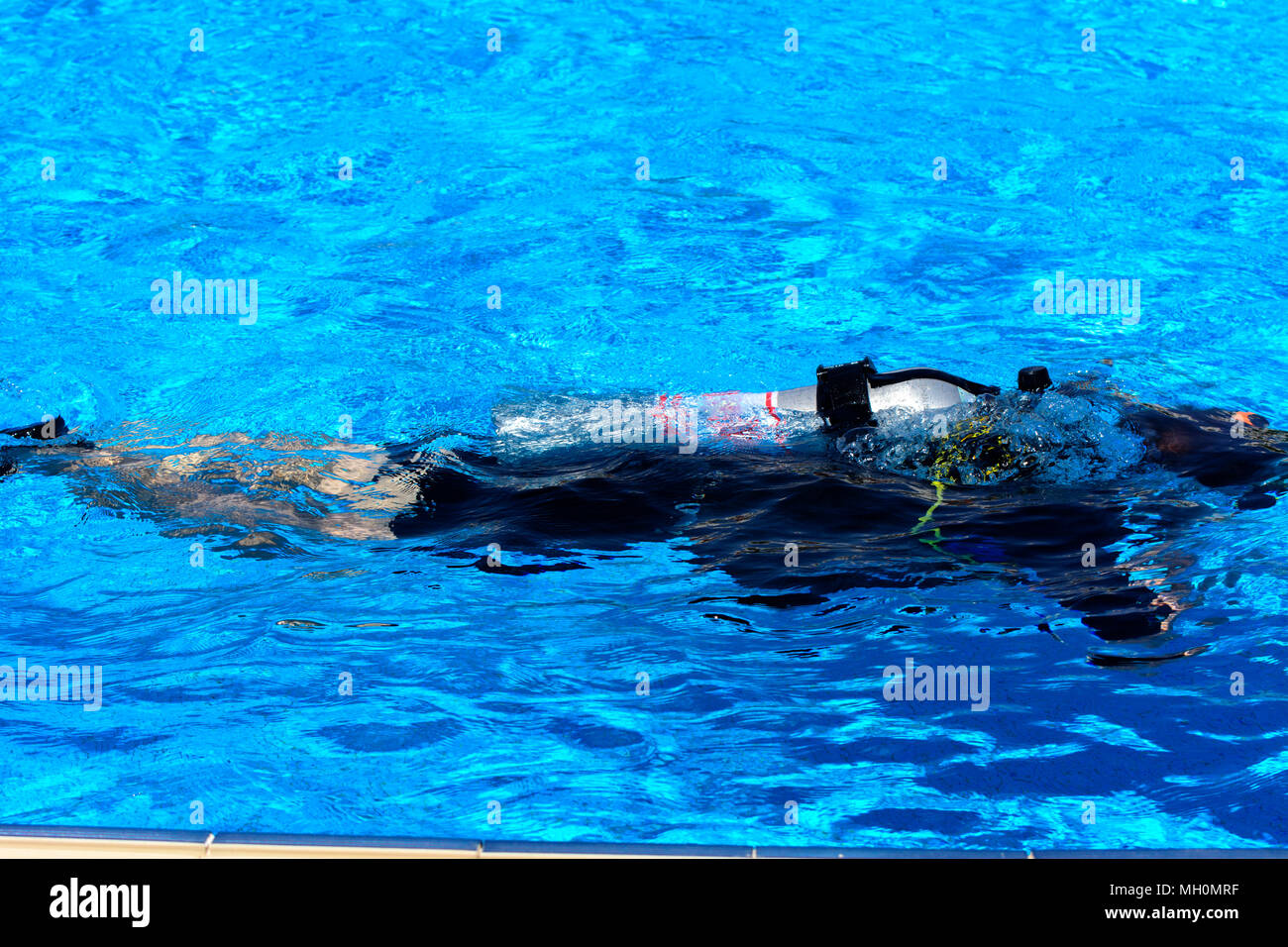 Divers sink in the pool. The teacher teaches the pupil the rules and