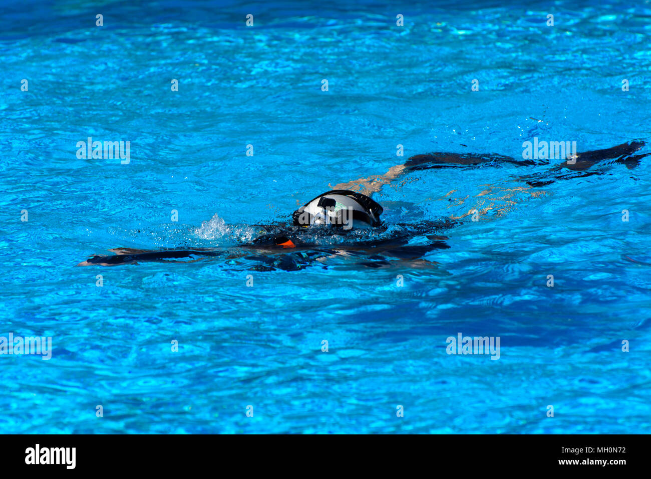 Divers sink in the pool. The teacher teaches the pupil the rules and