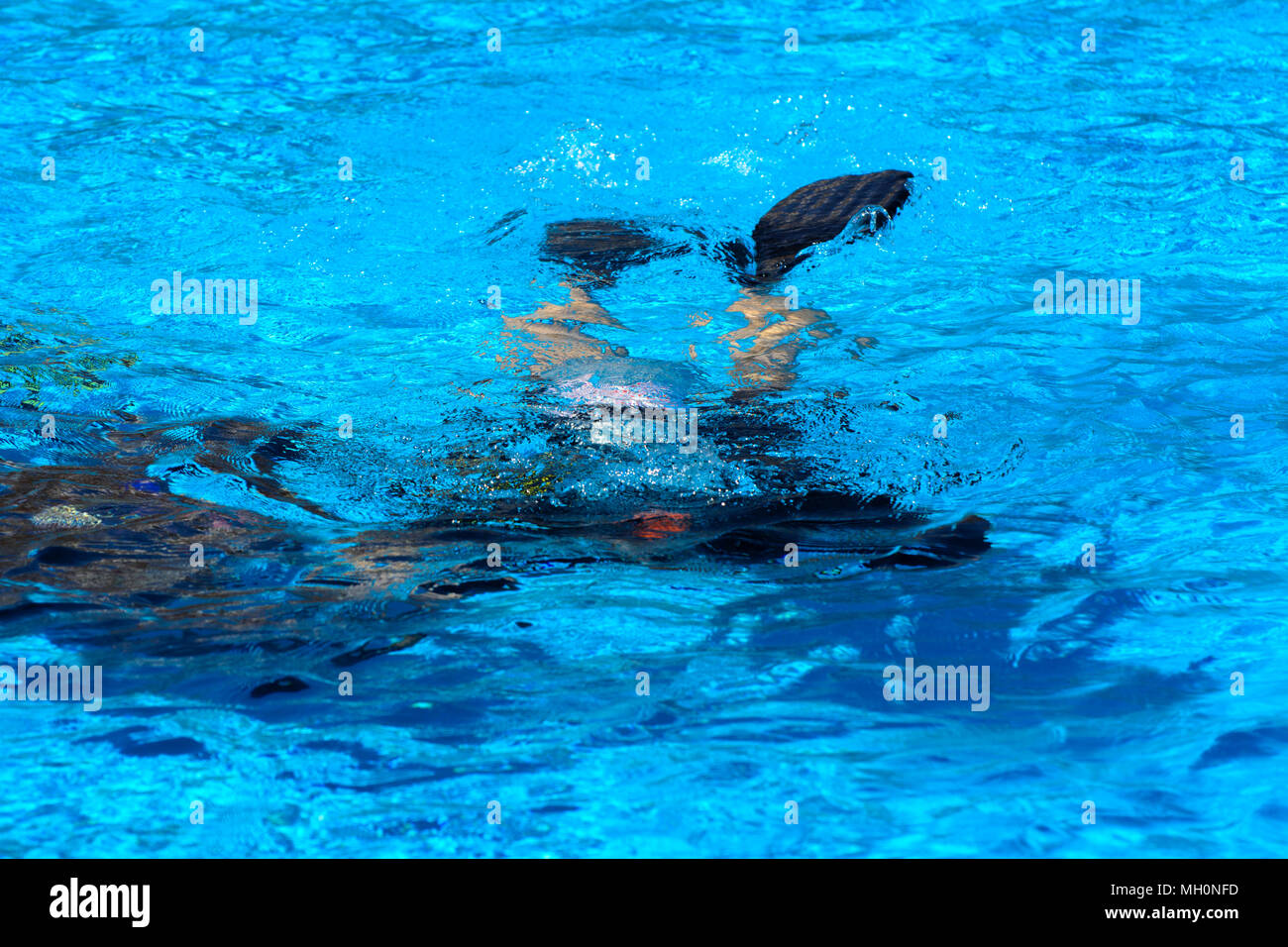 Divers sink in the pool. The teacher teaches the pupil the rules and