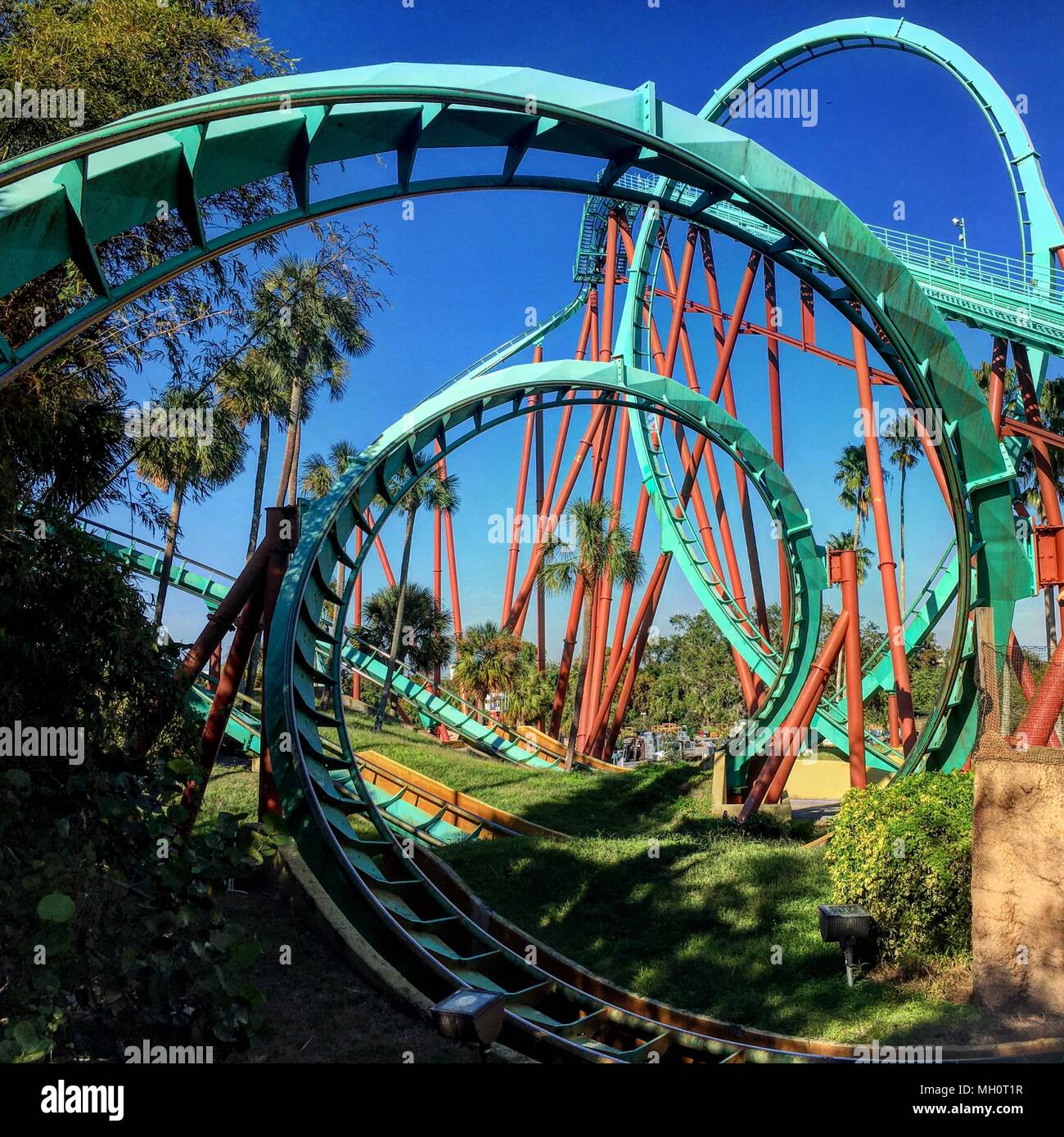 Busch gardens roller coaster hi-res stock photography and images