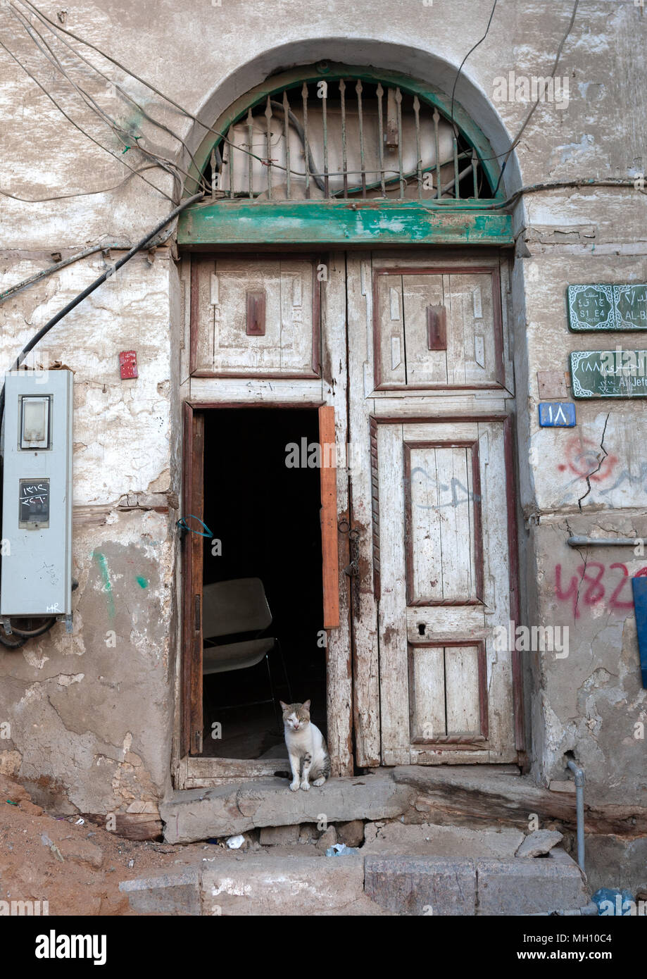Cat in front of a wooden door house in the old quarter, Hijaz Tihamah