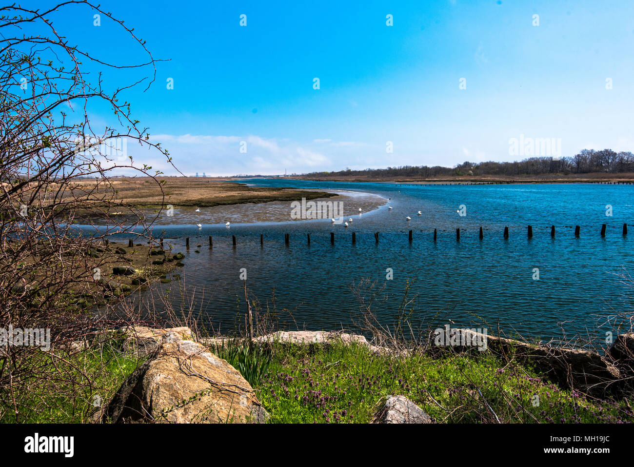 Marine park brooklyn hires stock photography and images Alamy
