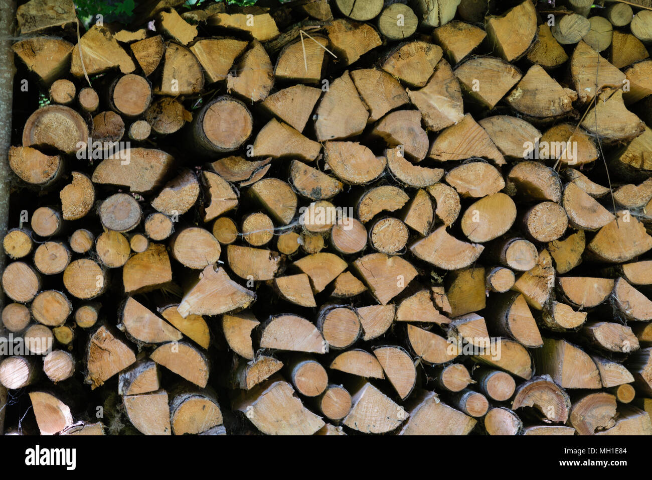firewood stacked into huge pile Stock Photo