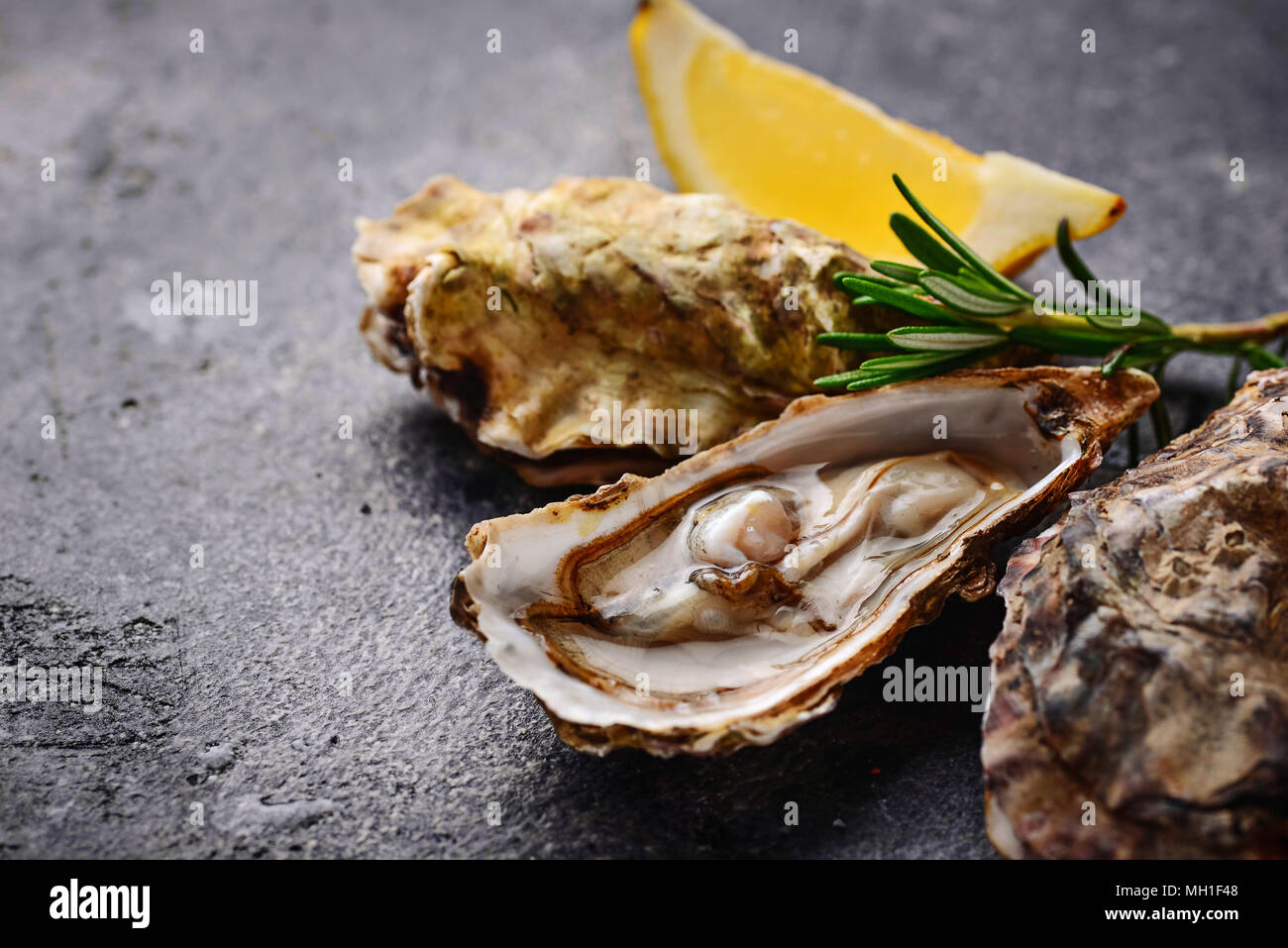 Fresh oysters with lemon and rosemary Stock Photo Alamy