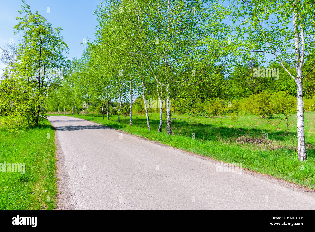 Rural road with green trees near Krakow city during spring season, Poland Stock Photo