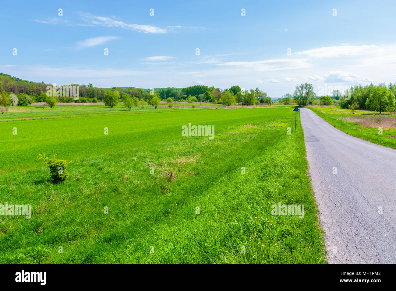 Rural road among green fields near Krakow city during spring season, Poland Stock Photo