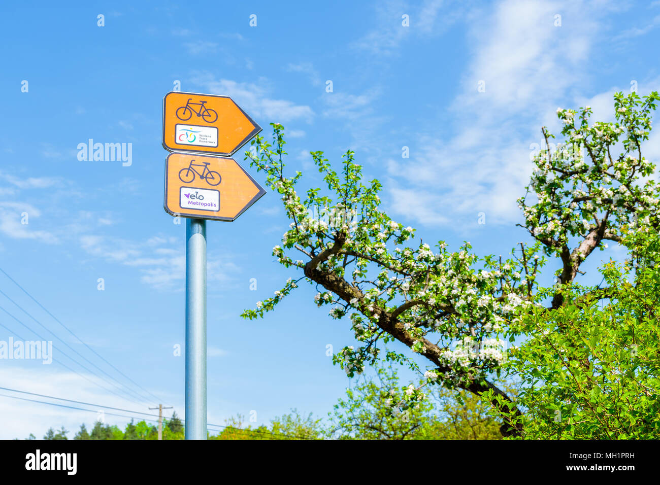Sign marking Vistula river cycling track against tree with blooming flowers during spring season, Poland Stock Photo