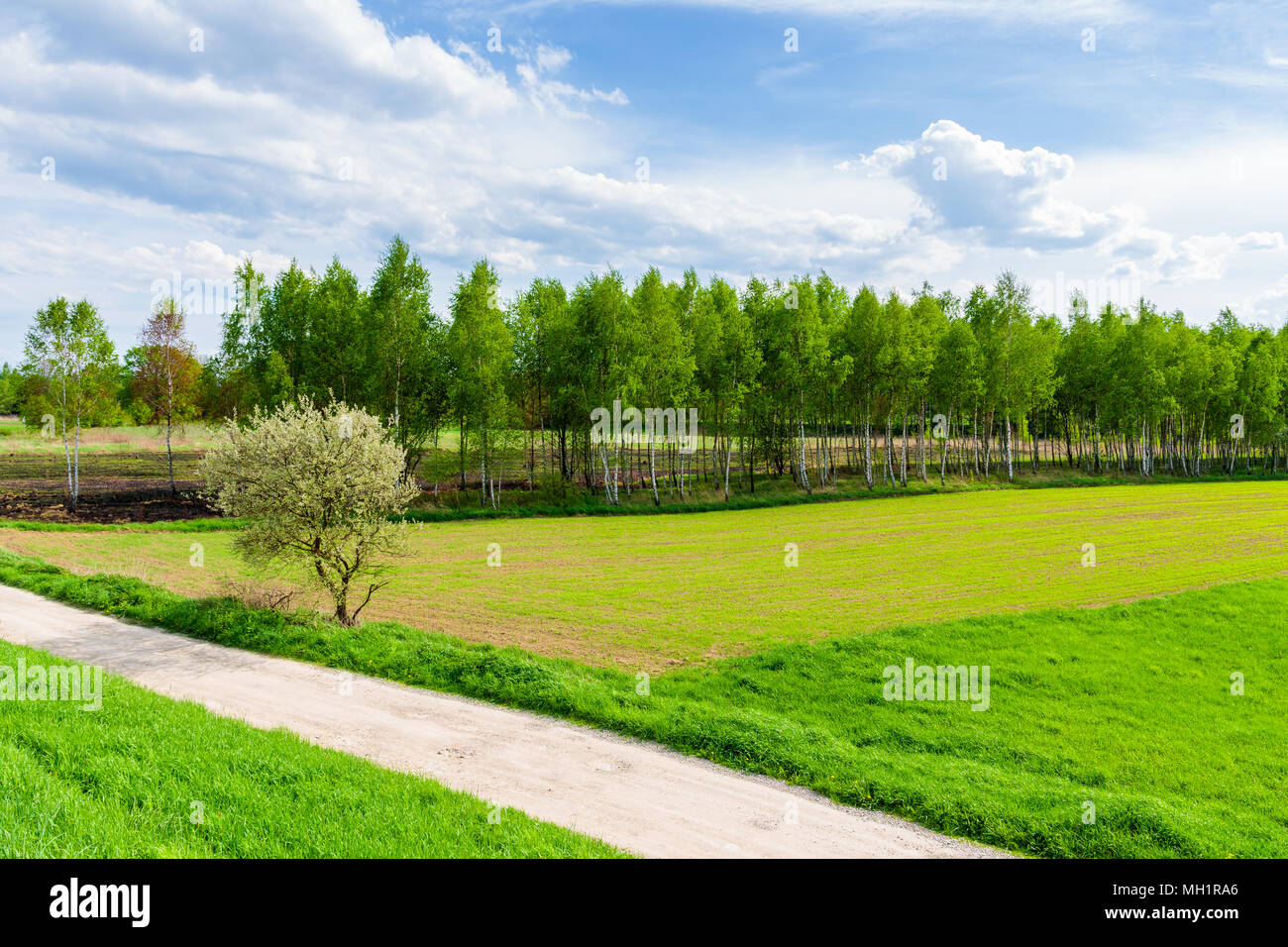 Rural road along Vistula river among green fields near Krakow city during spring season, Poland Stock Photo