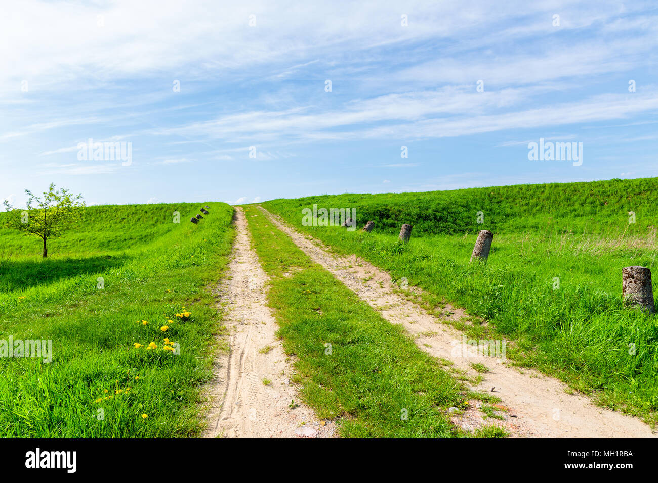 Rural road in green spring landscape near Vistula river, Poland Stock Photo